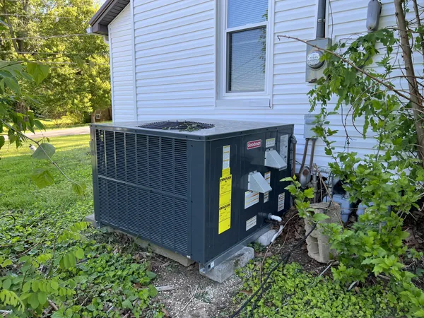a view of a bird house next to yard