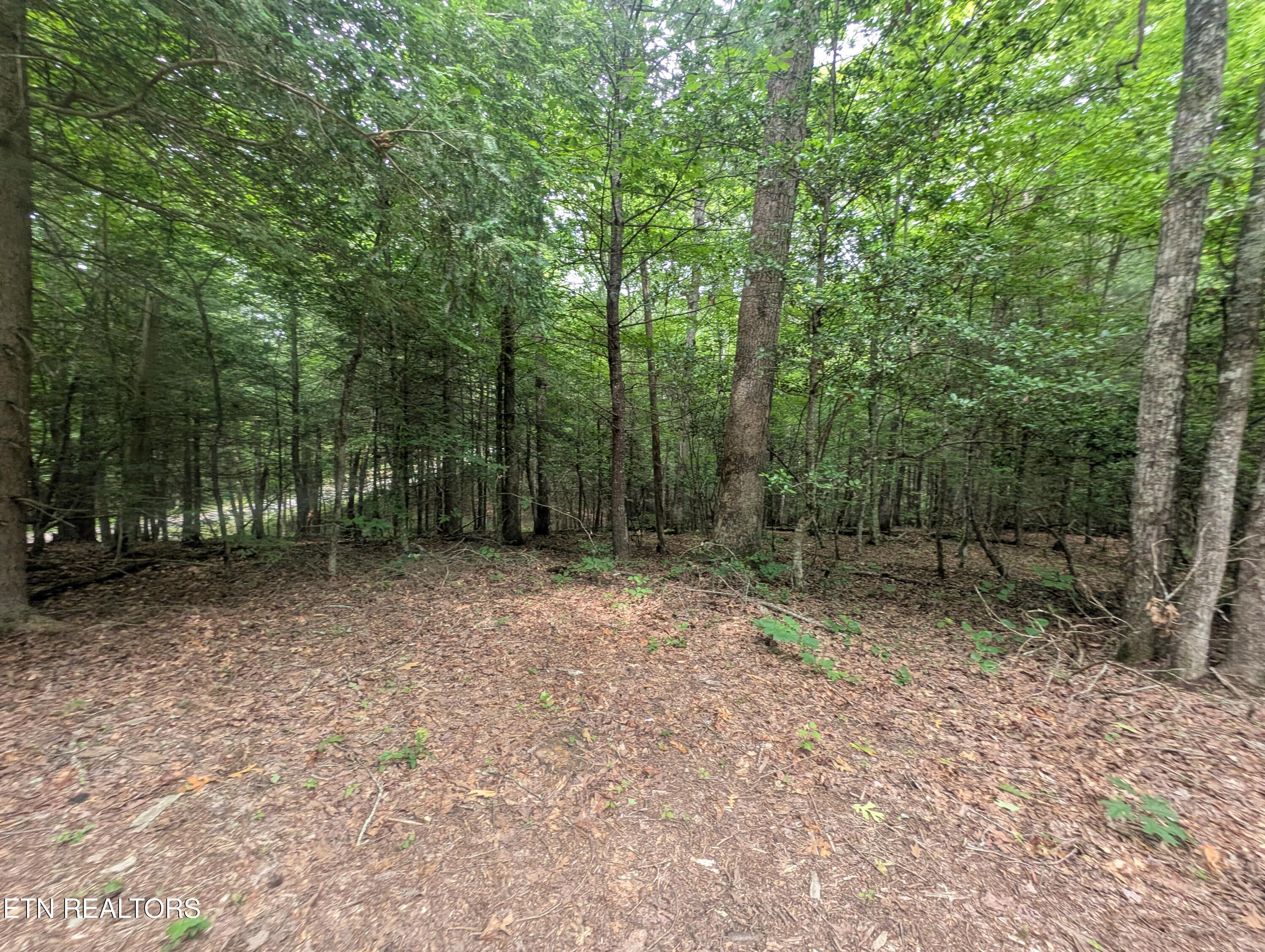 PXL_20250612_183337289