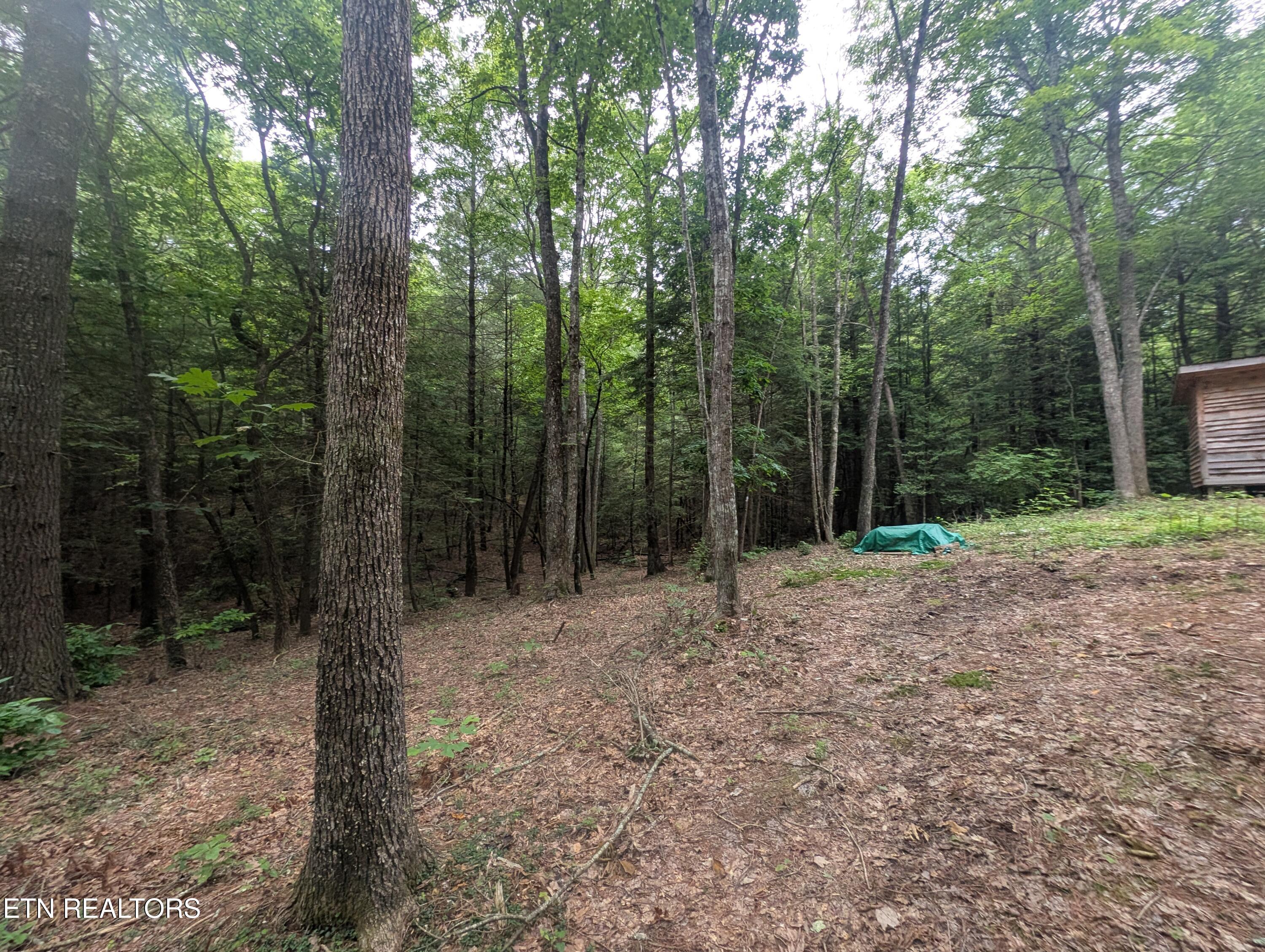 Model Farm Road Jamestown, TN 38556 - Photo 11 of 57 PXL_20250612_183711110