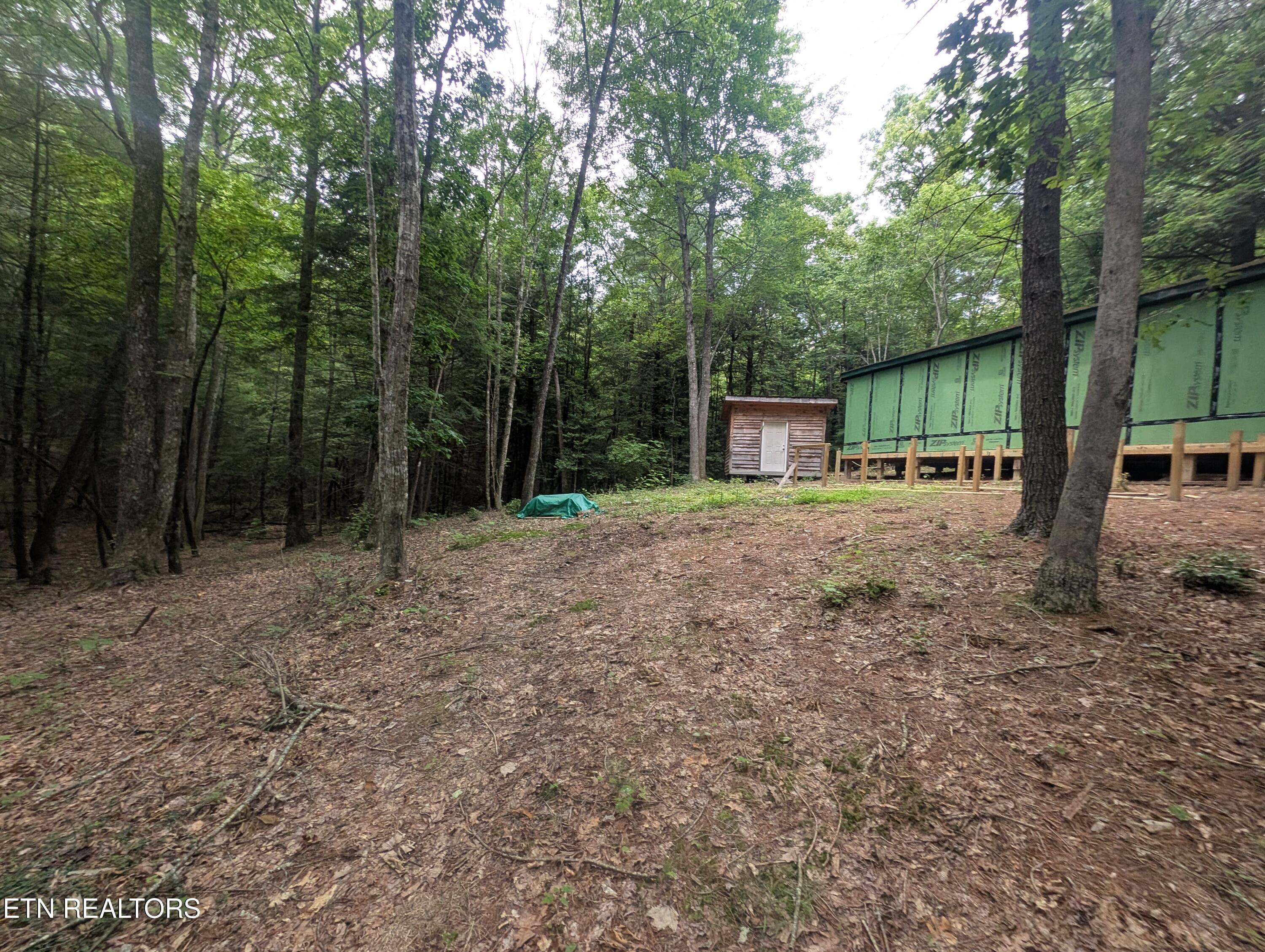 Model Farm Road Jamestown, TN 38556 - Photo 12 of 57 PXL_20250612_183711843