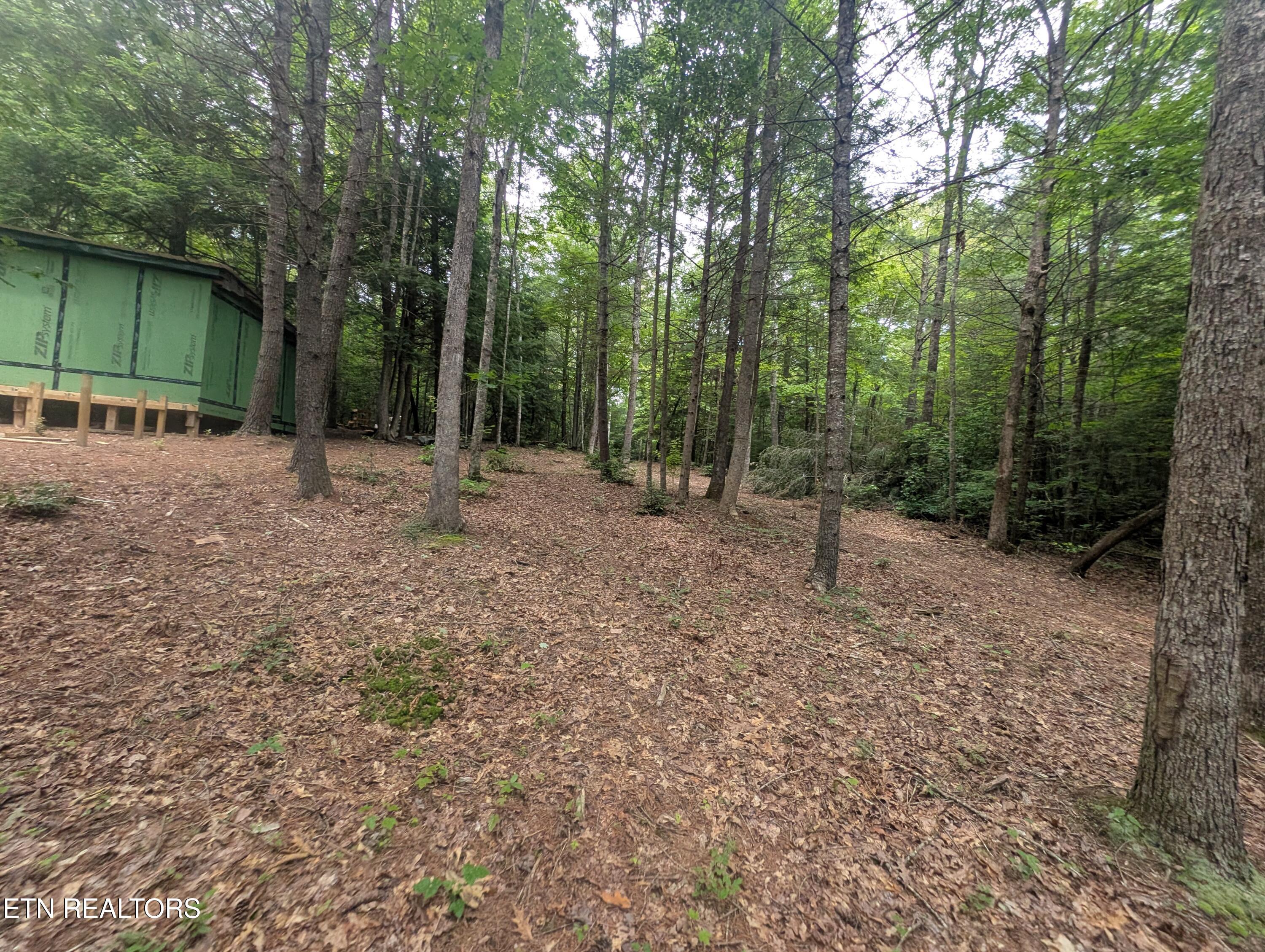 Model Farm Road Jamestown, TN 38556 - Photo 13 of 57 PXL_20250612_183713805