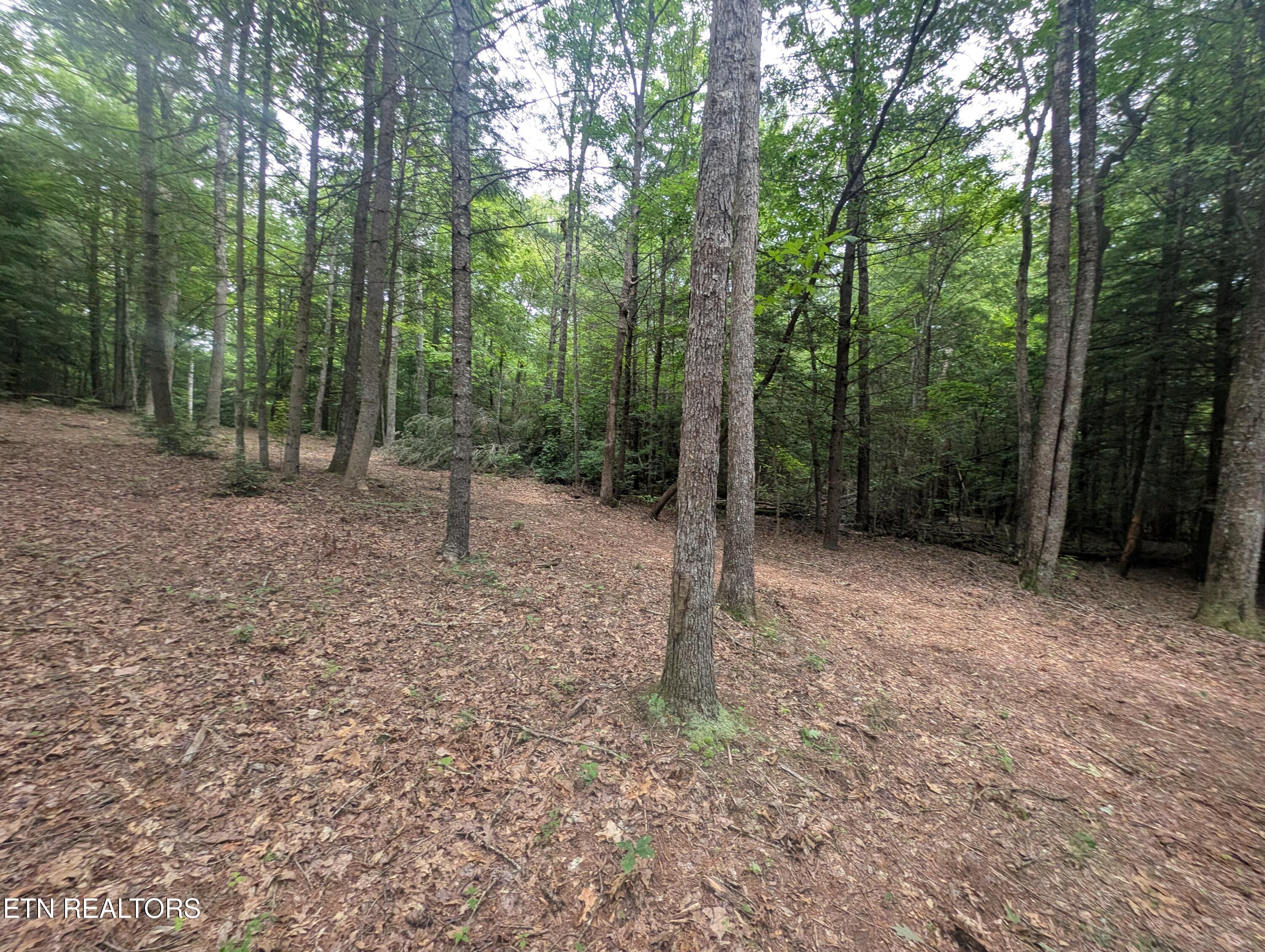 Model Farm Road Jamestown, TN 38556 - Photo 14 of 57 PXL_20250612_183714547