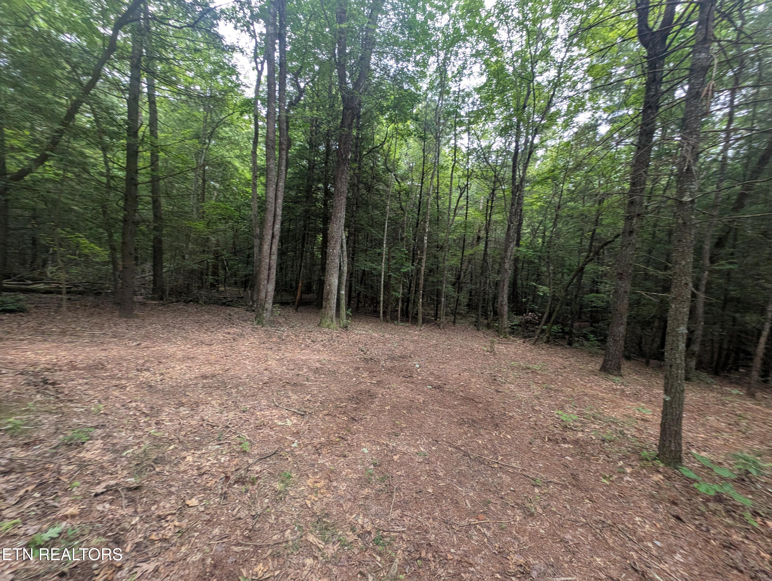 Model Farm Road Jamestown, TN 38556 - Photo 15 of 57 PXL_20250612_183715528