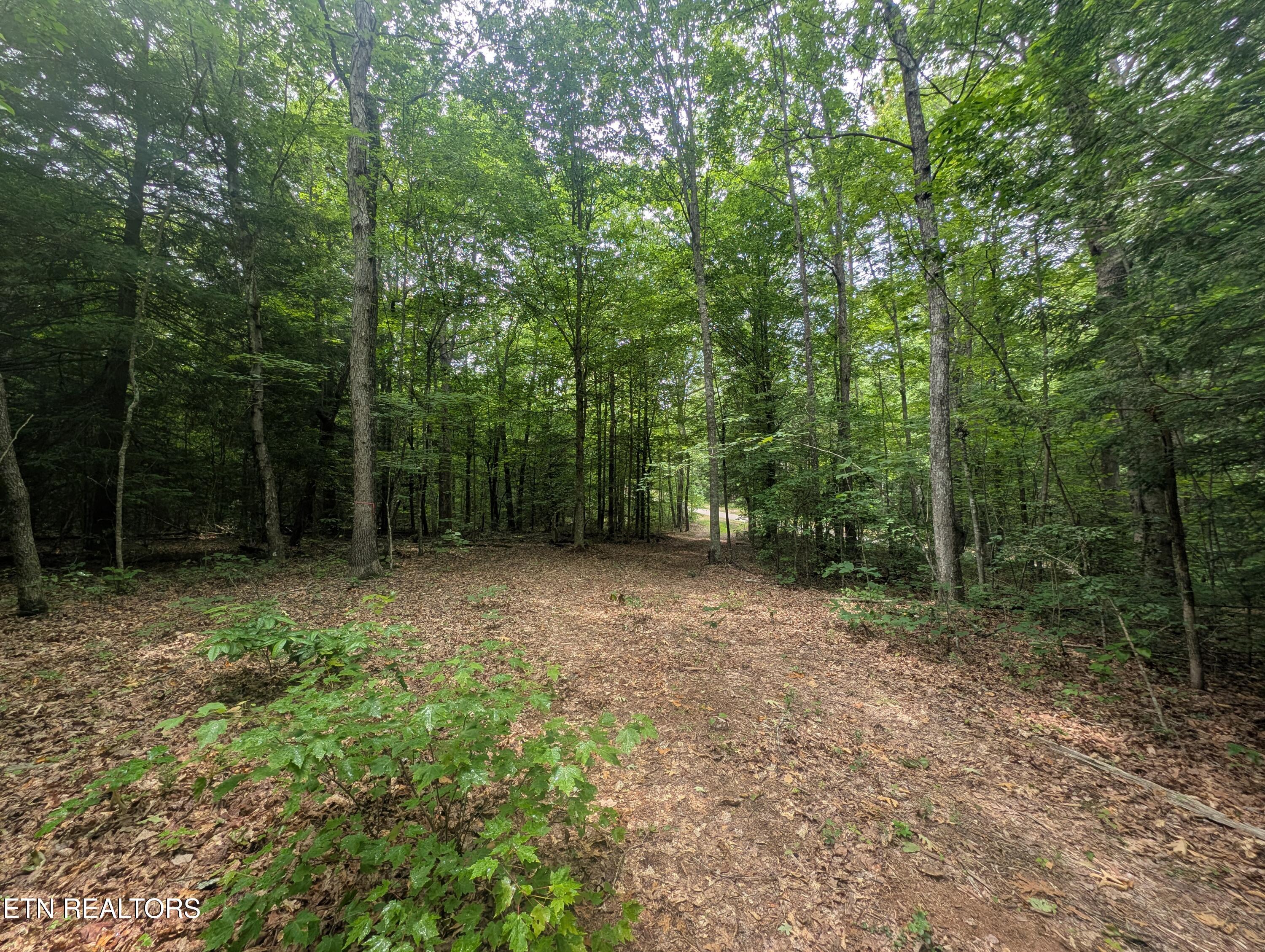 Model Farm Road Jamestown, TN 38556 - Photo 16 of 57 PXL_20250612_183315123