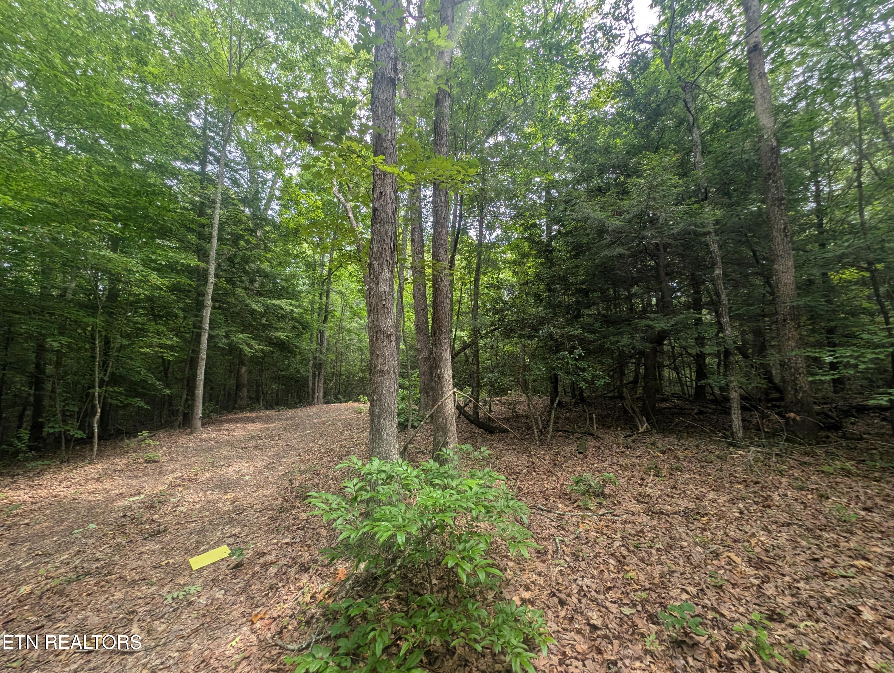 Model Farm Road Jamestown, TN 38556 - Photo 17 of 57 PXL_20250612_183317460