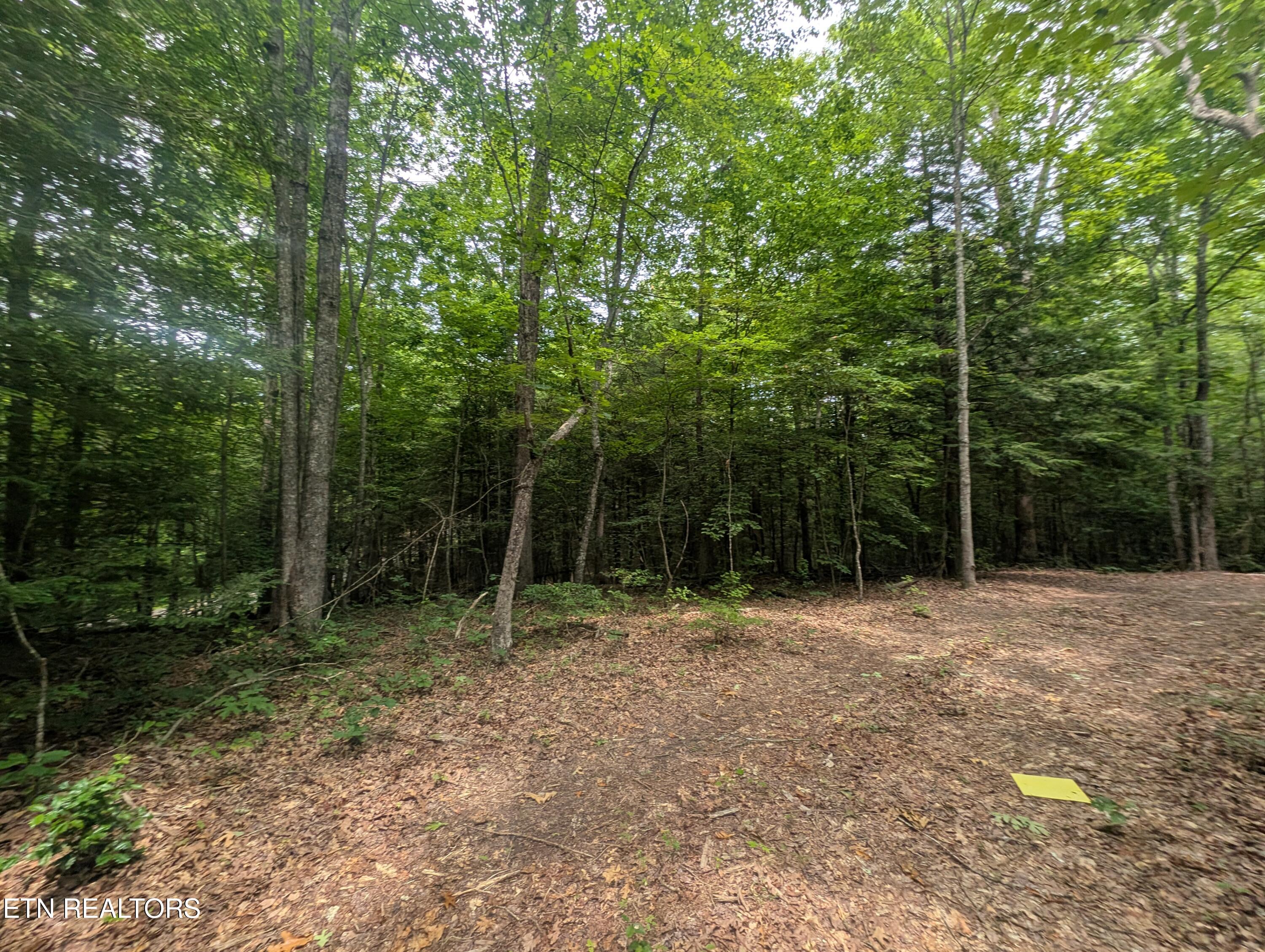 Model Farm Road Jamestown, TN 38556 - Photo 18 of 57 PXL_20250612_183318369