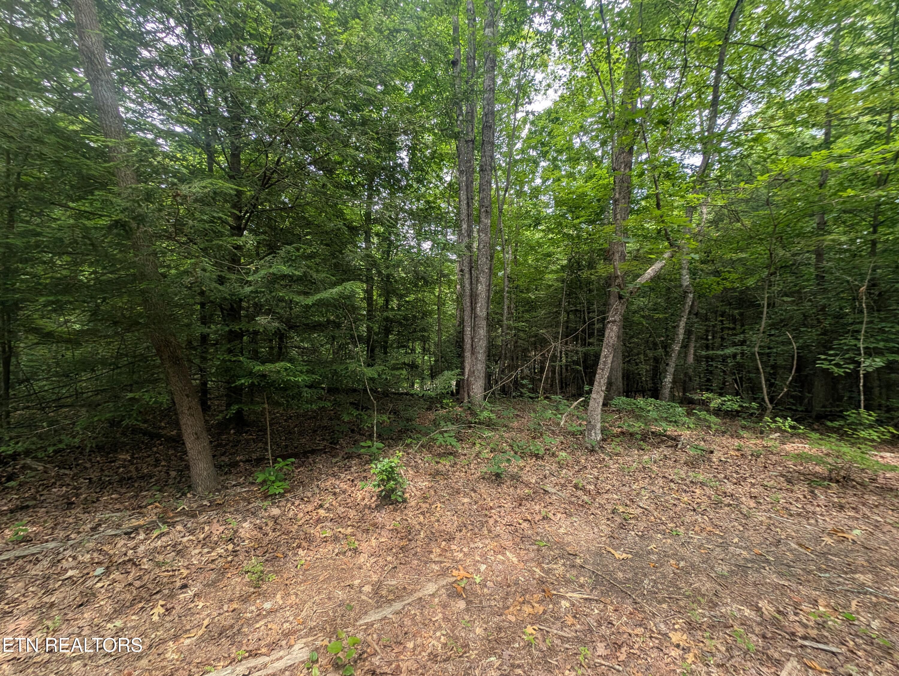 Model Farm Road Jamestown, TN 38556 - Photo 19 of 57 PXL_20250612_183319069