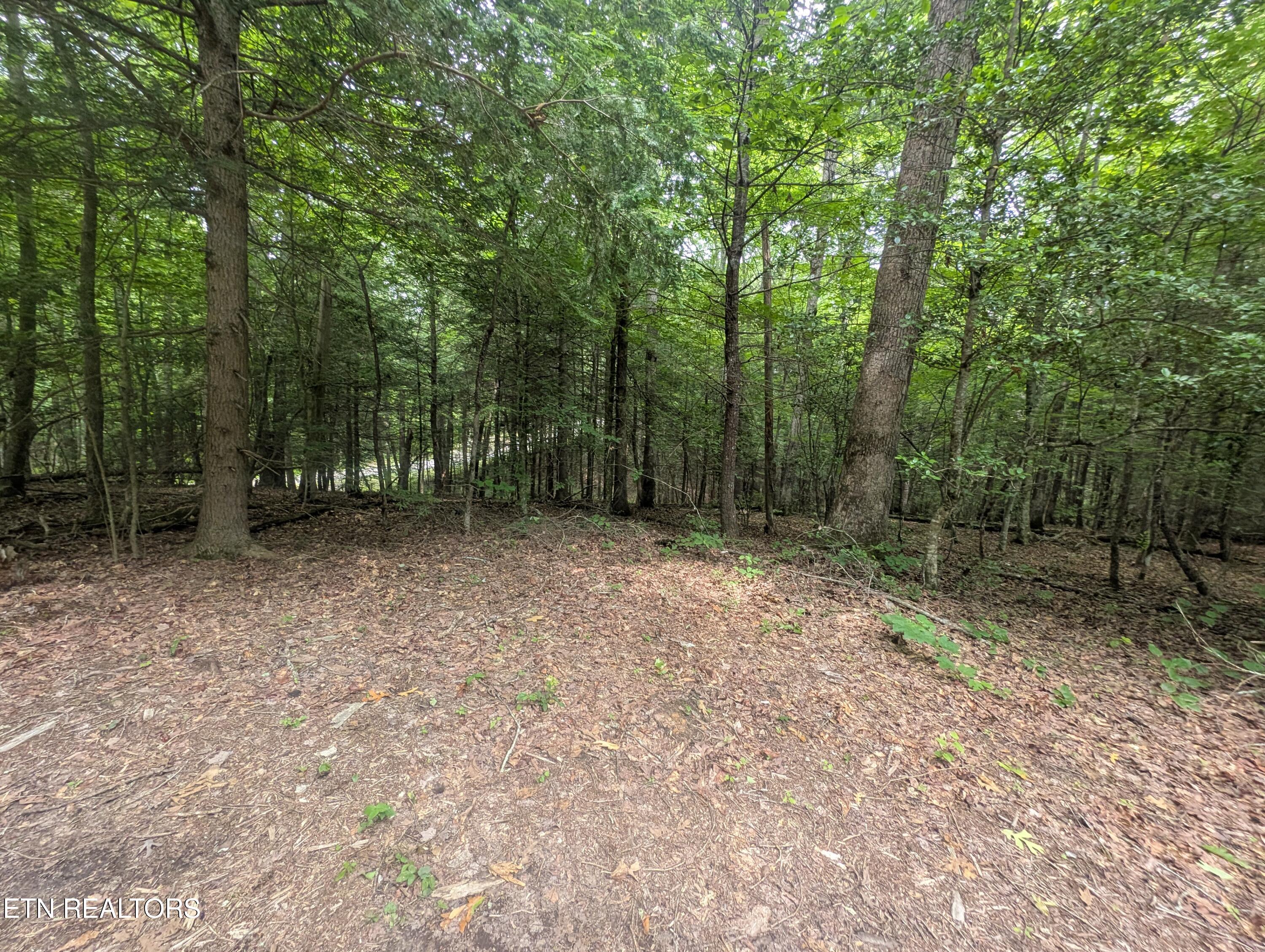 Model Farm Road Jamestown, TN 38556 - Photo 20 of 57 PXL_20250612_183336606