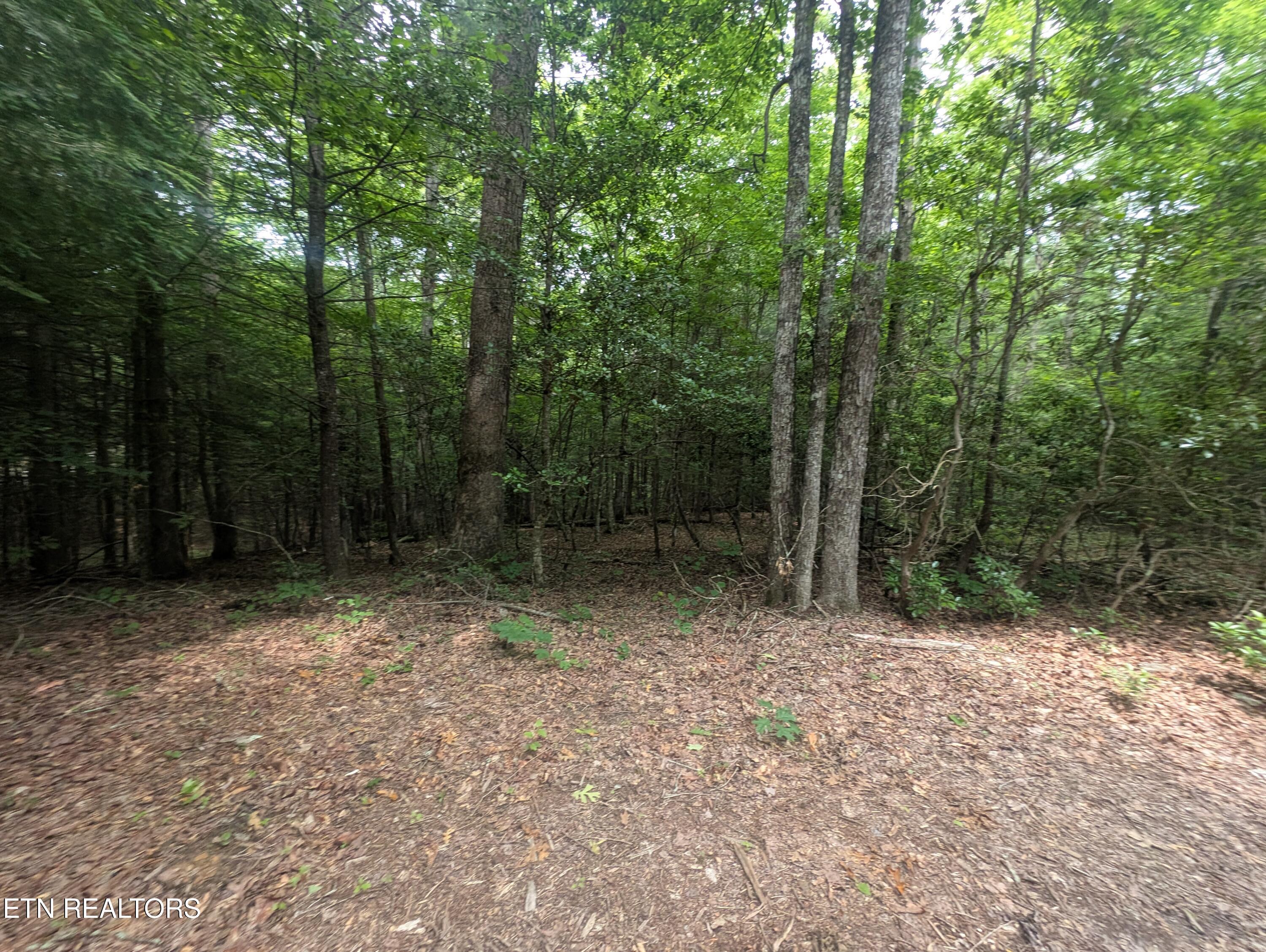 Model Farm Road Jamestown, TN 38556 - Photo 21 of 57 PXL_20250612_183337844