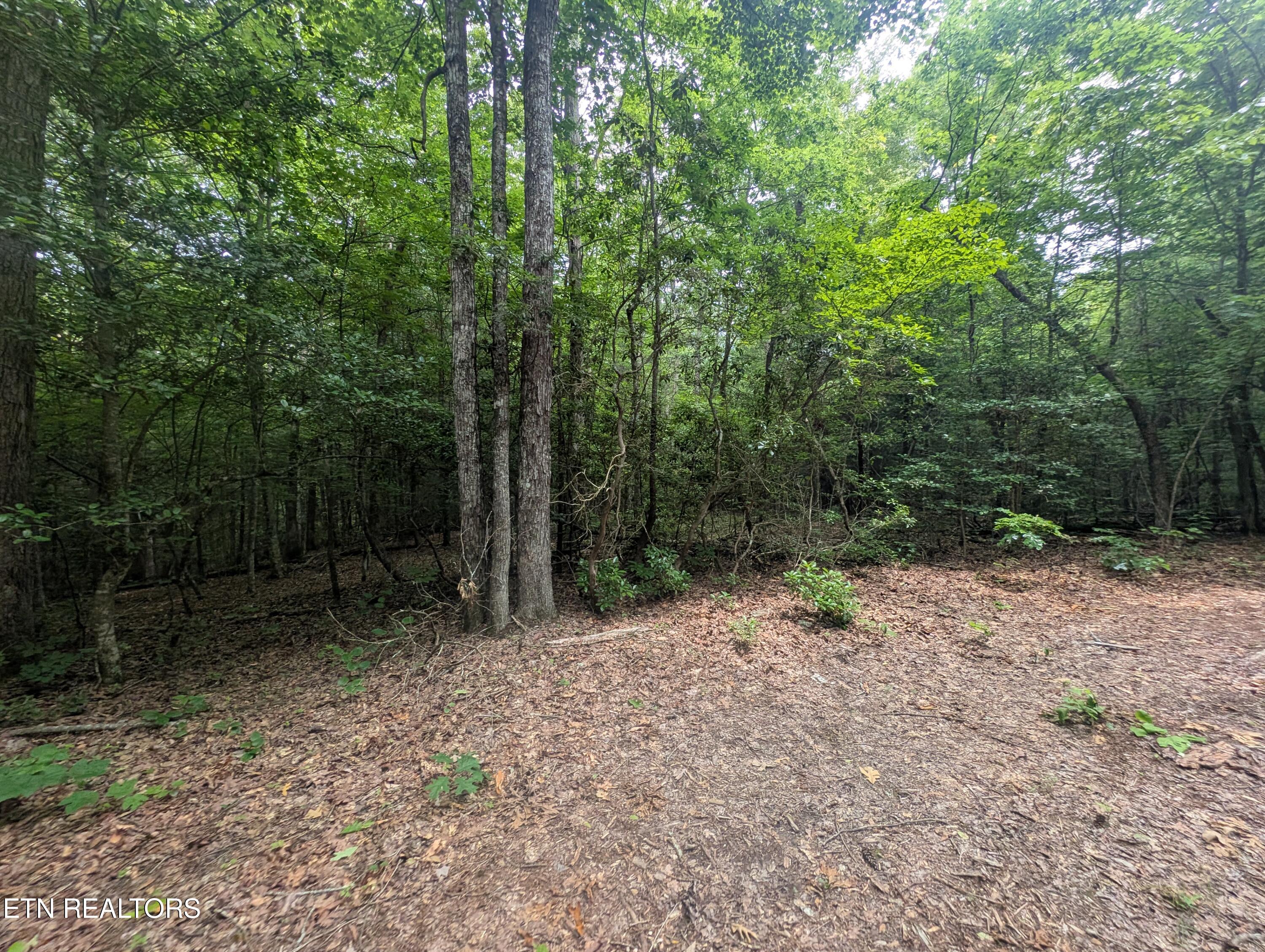 Model Farm Road Jamestown, TN 38556 - Photo 22 of 57 PXL_20250612_183338481