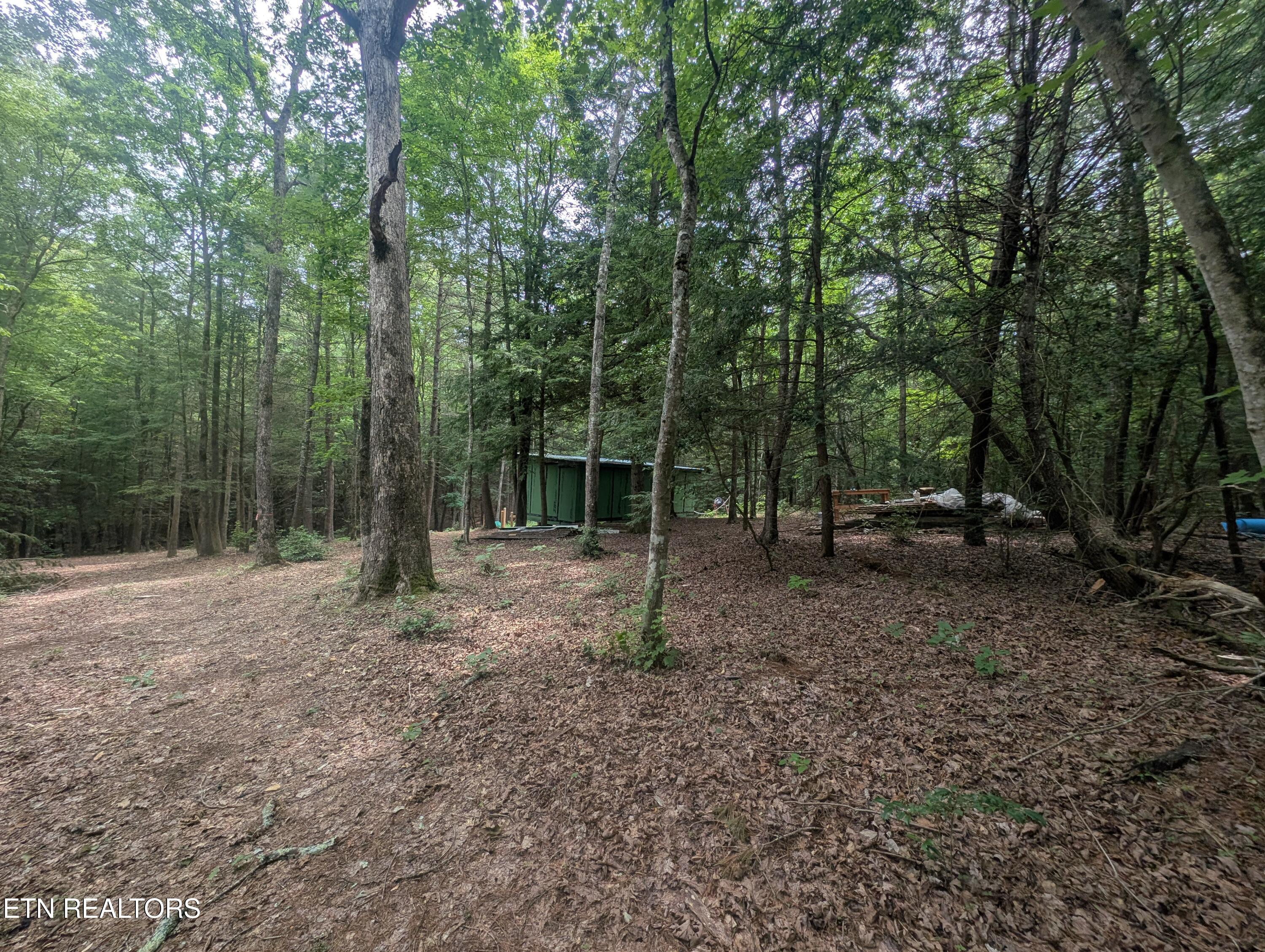 Model Farm Road Jamestown, TN 38556 - Photo 23 of 57 PXL_20250612_183416531