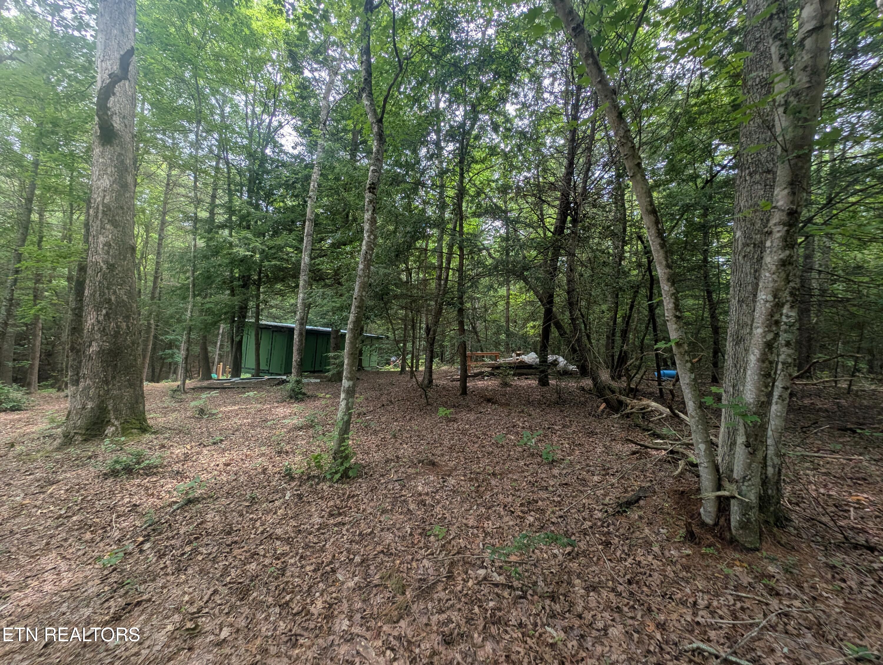 Model Farm Road Jamestown, TN 38556 - Photo 24 of 57 PXL_20250612_183417420