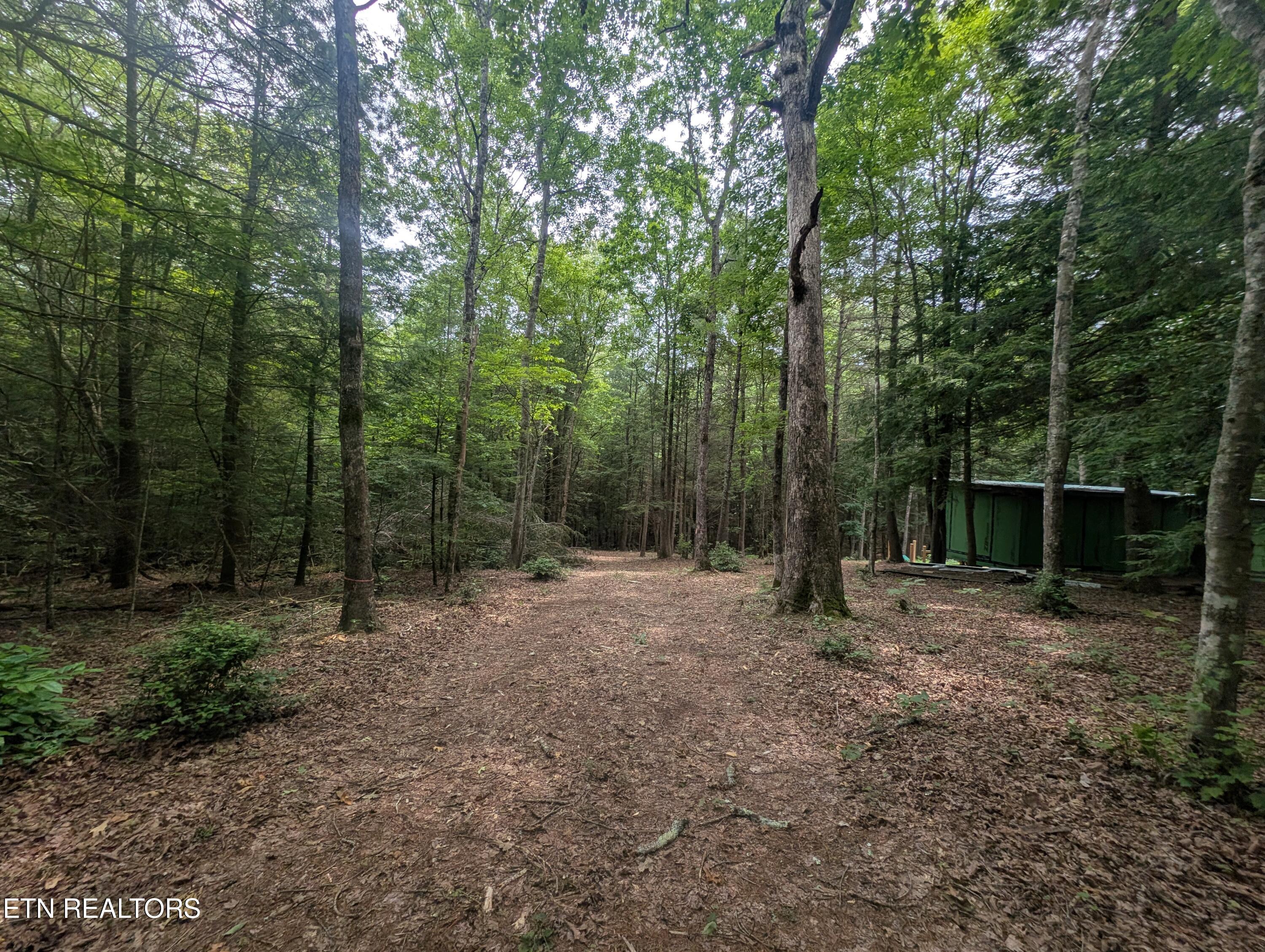 Model Farm Road Jamestown, TN 38556 - Photo 25 of 57 PXL_20250612_183418714