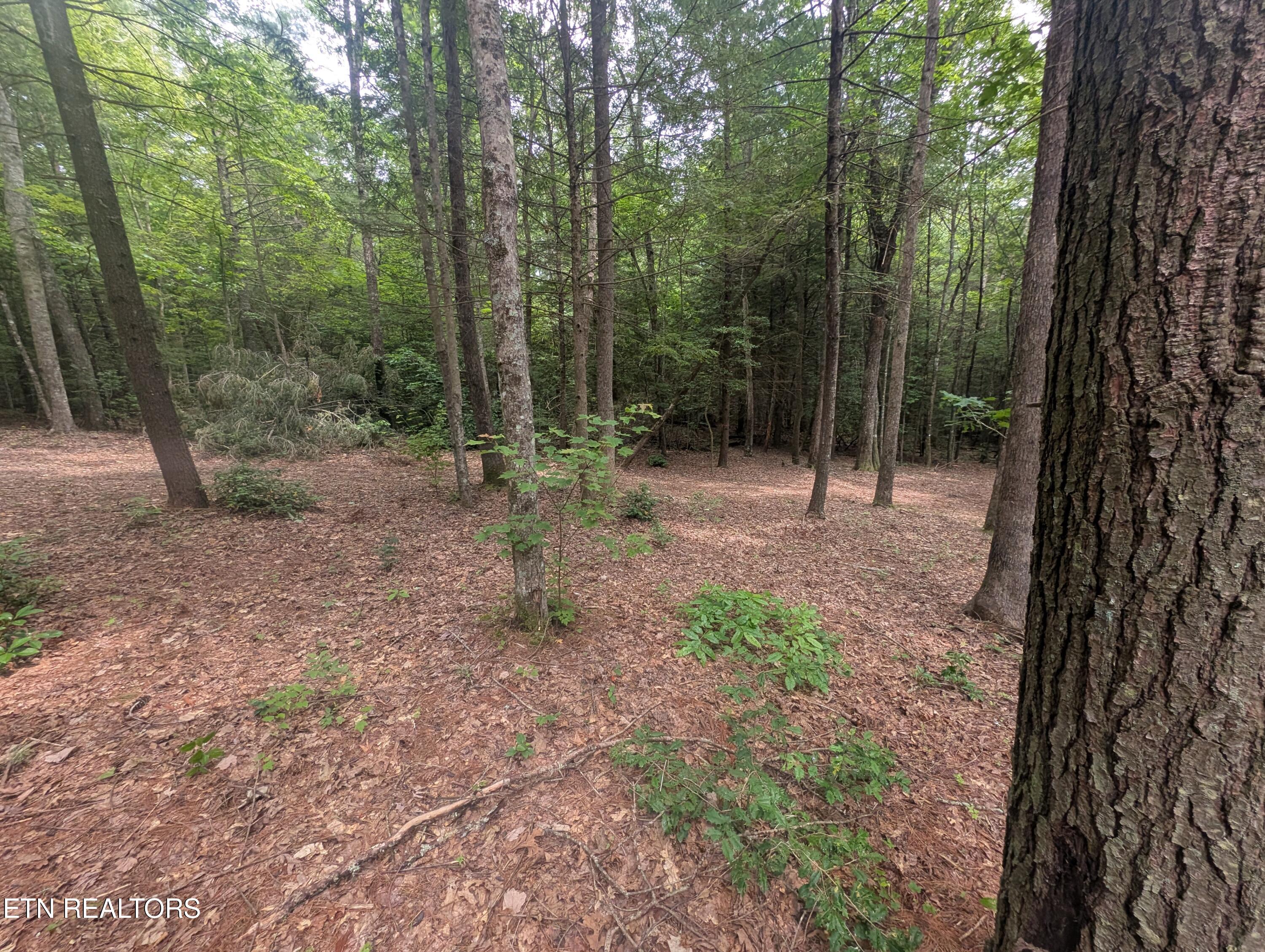 Model Farm Road Jamestown, TN 38556 - Photo 26 of 57 PXL_20250612_183455119