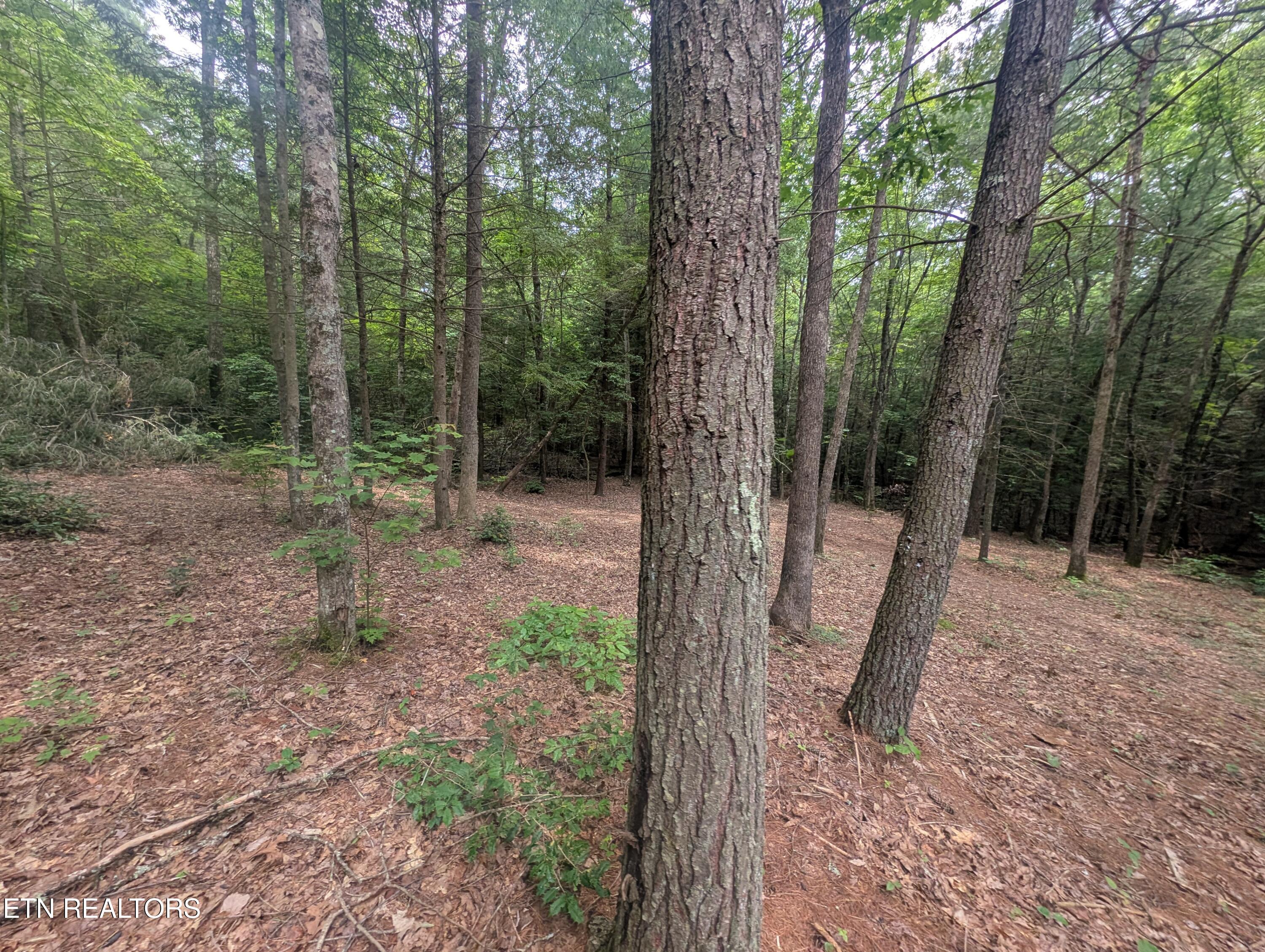 Model Farm Road Jamestown, TN 38556 - Photo 27 of 57 PXL_20250612_183455805