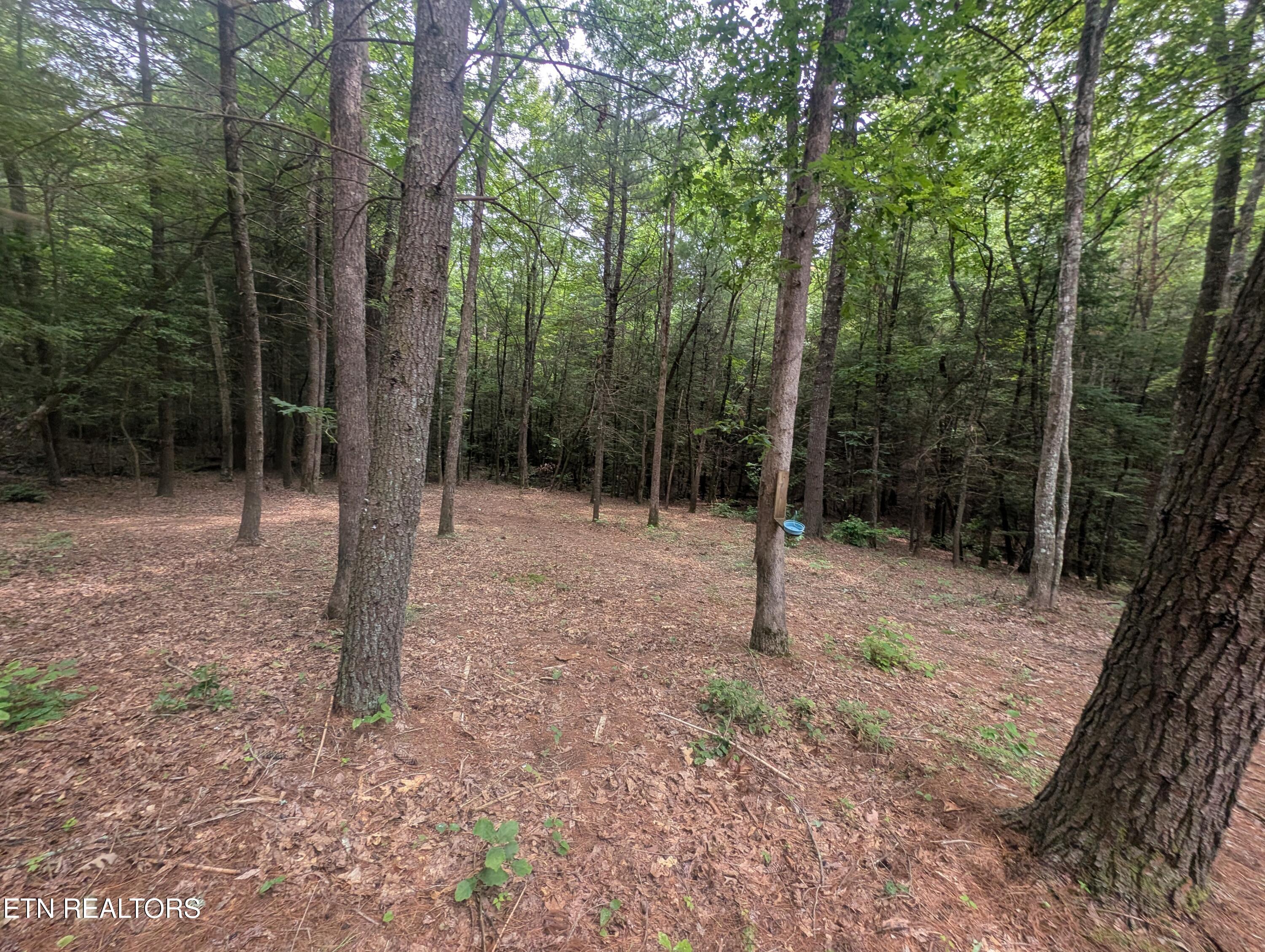 Model Farm Road Jamestown, TN 38556 - Photo 28 of 57 PXL_20250612_183457339