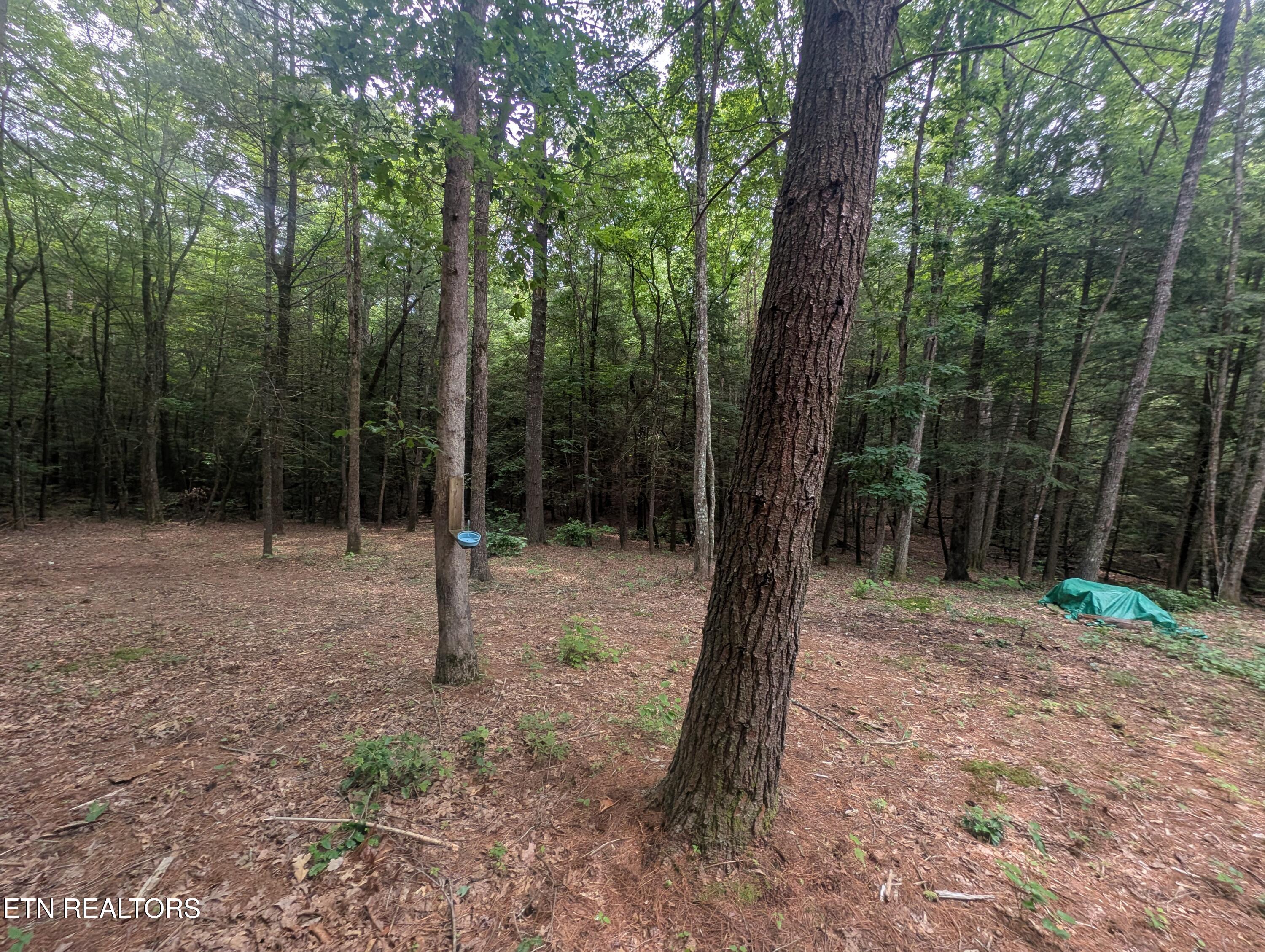 Model Farm Road Jamestown, TN 38556 - Photo 29 of 57 PXL_20250612_183458123