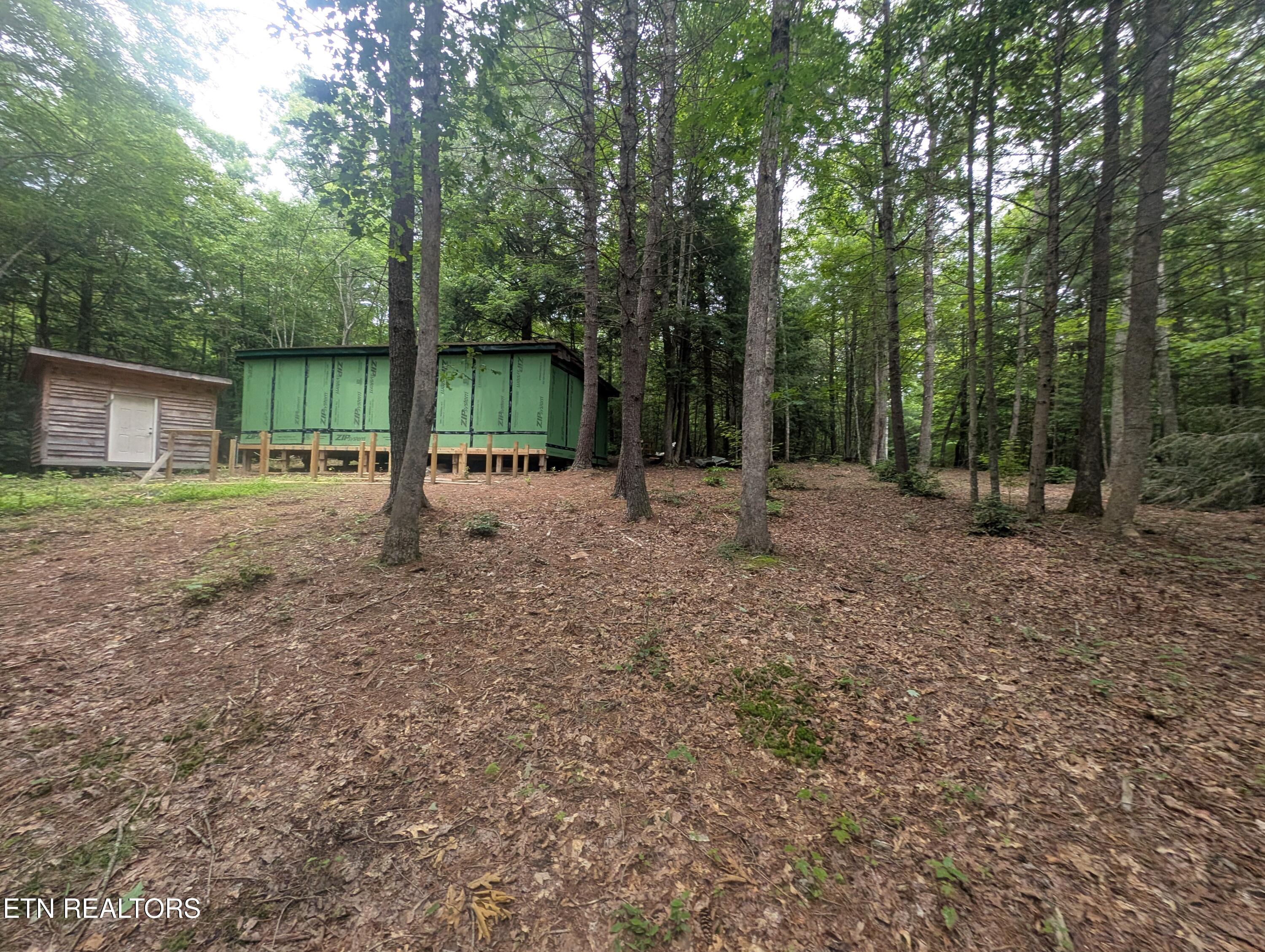 Model Farm Road Jamestown, TN 38556 - Photo 3 of 57 PXL_20250612_183713090