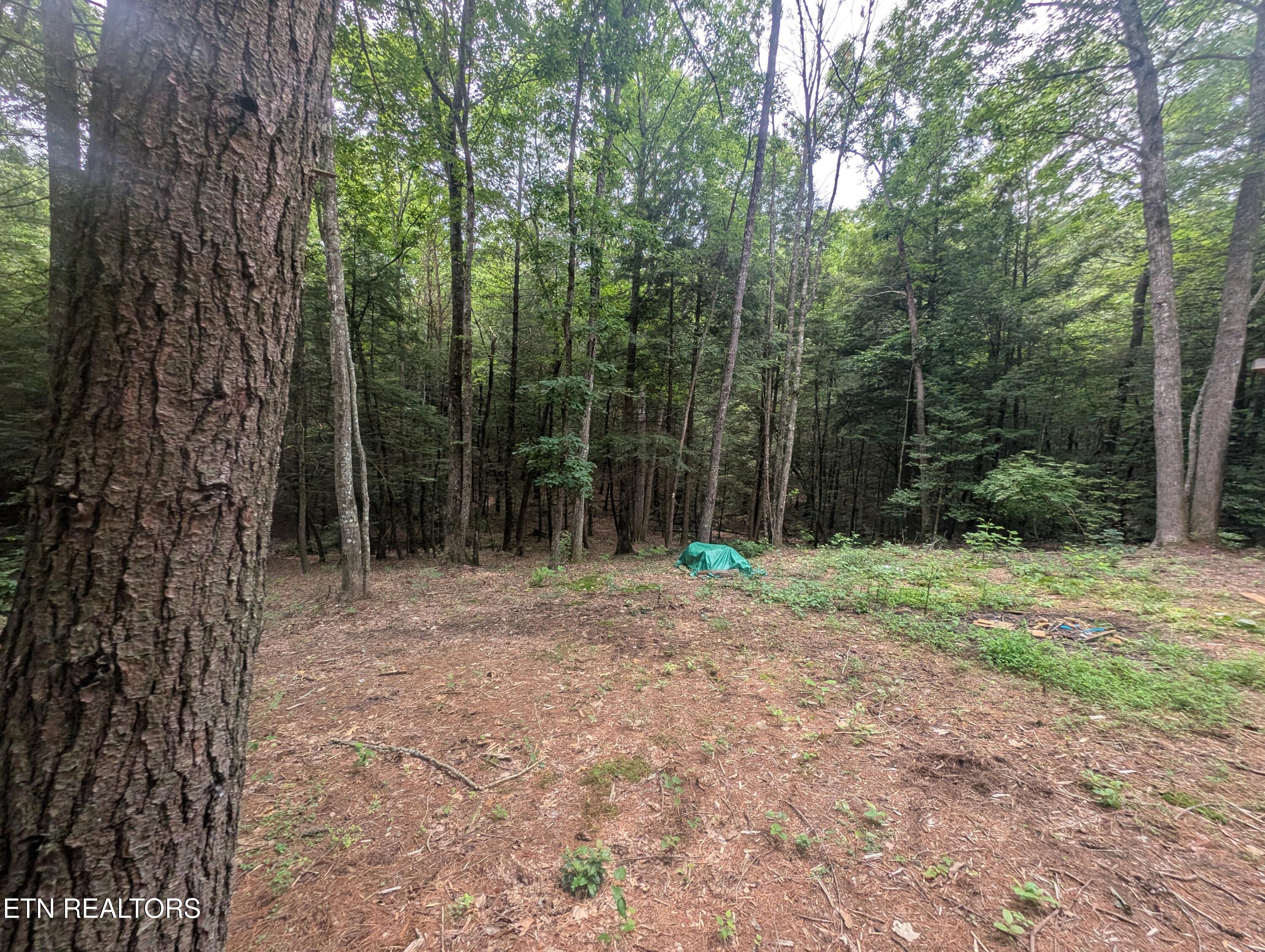 Model Farm Road Jamestown, TN 38556 - Photo 31 of 57 PXL_20250612_183459465