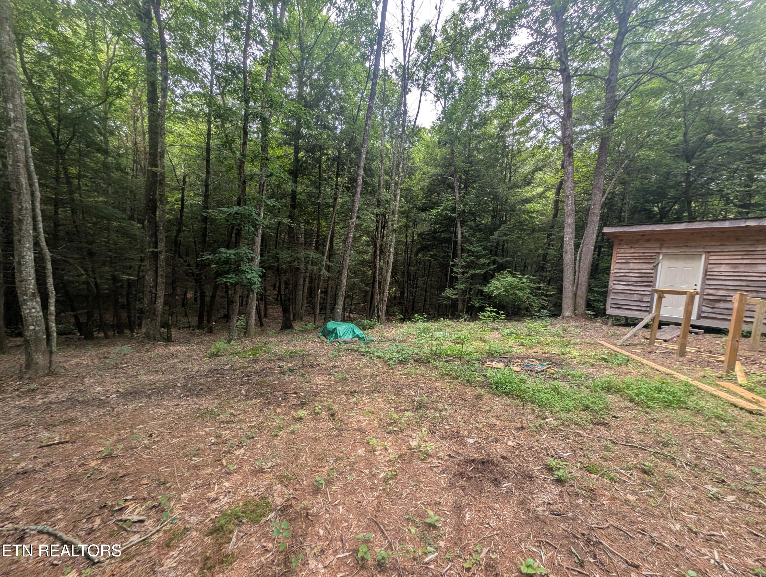 Model Farm Road Jamestown, TN 38556 - Photo 32 of 57 PXL_20250612_183500145