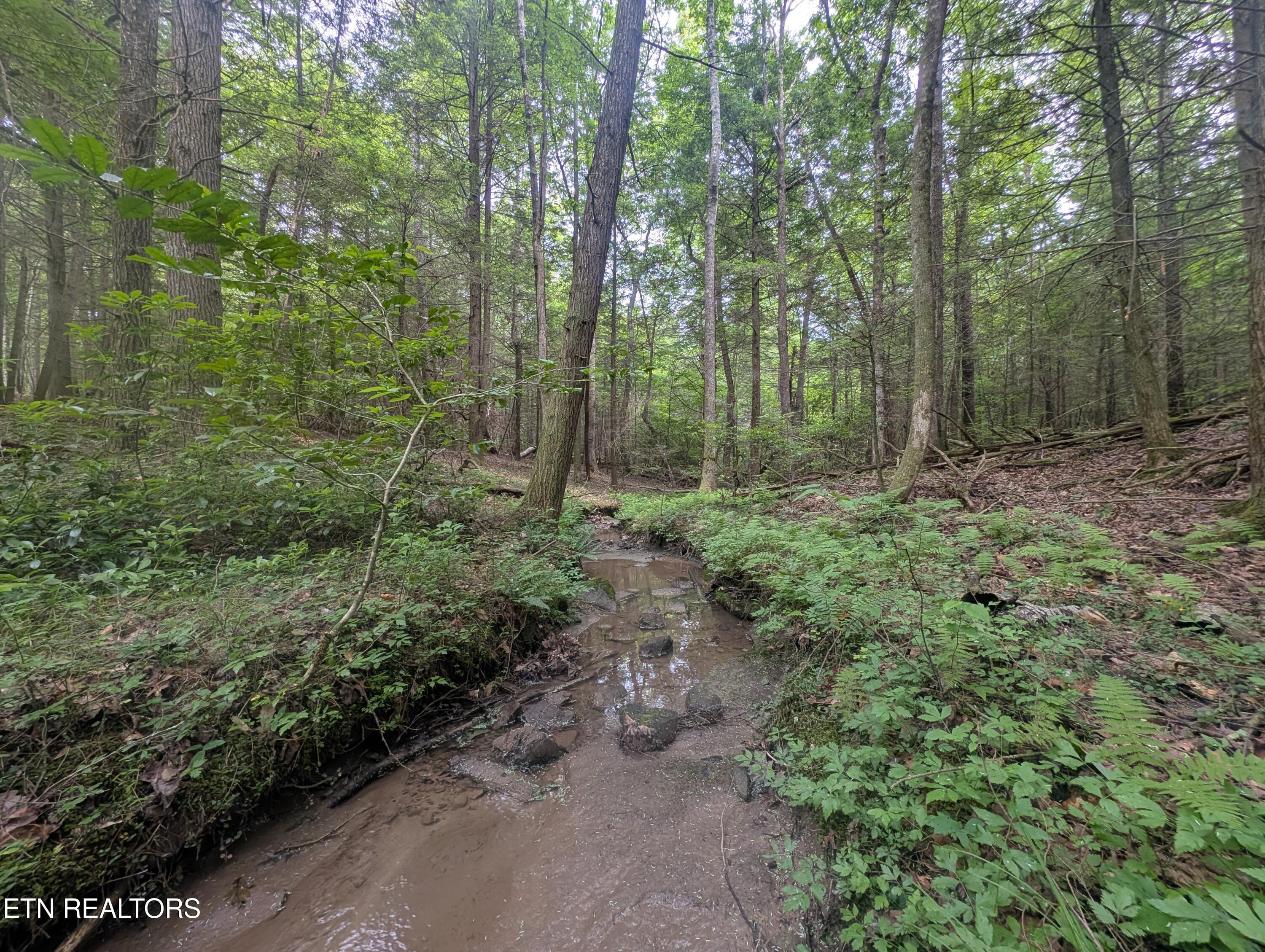 Model Farm Road Jamestown, TN 38556 - Photo 4 of 57 PXL_20250612_182917446