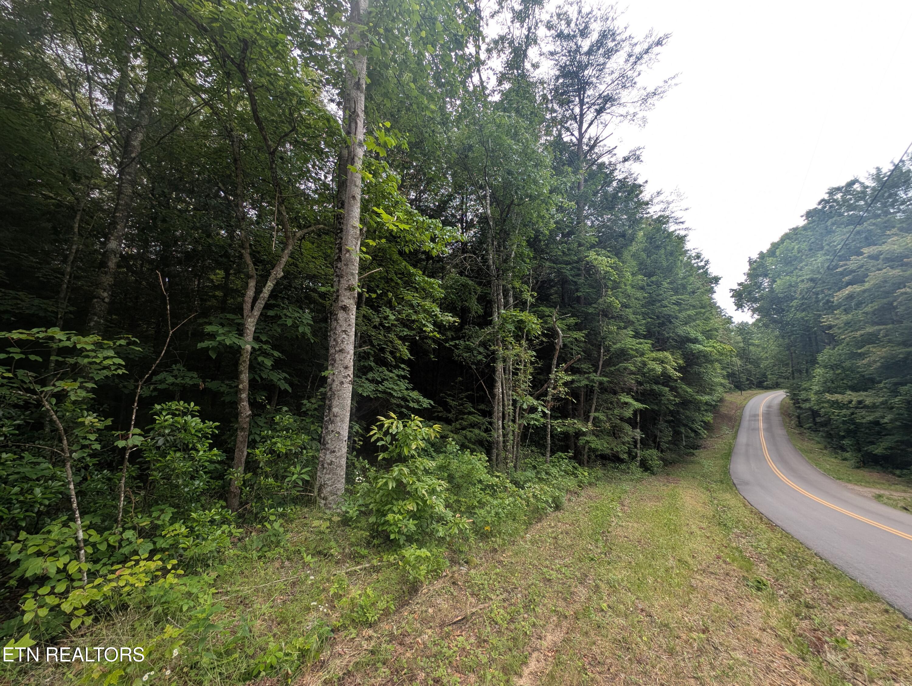 Model Farm Road Jamestown, TN 38556 - Photo 44 of 57 PXL_20250612_182732344