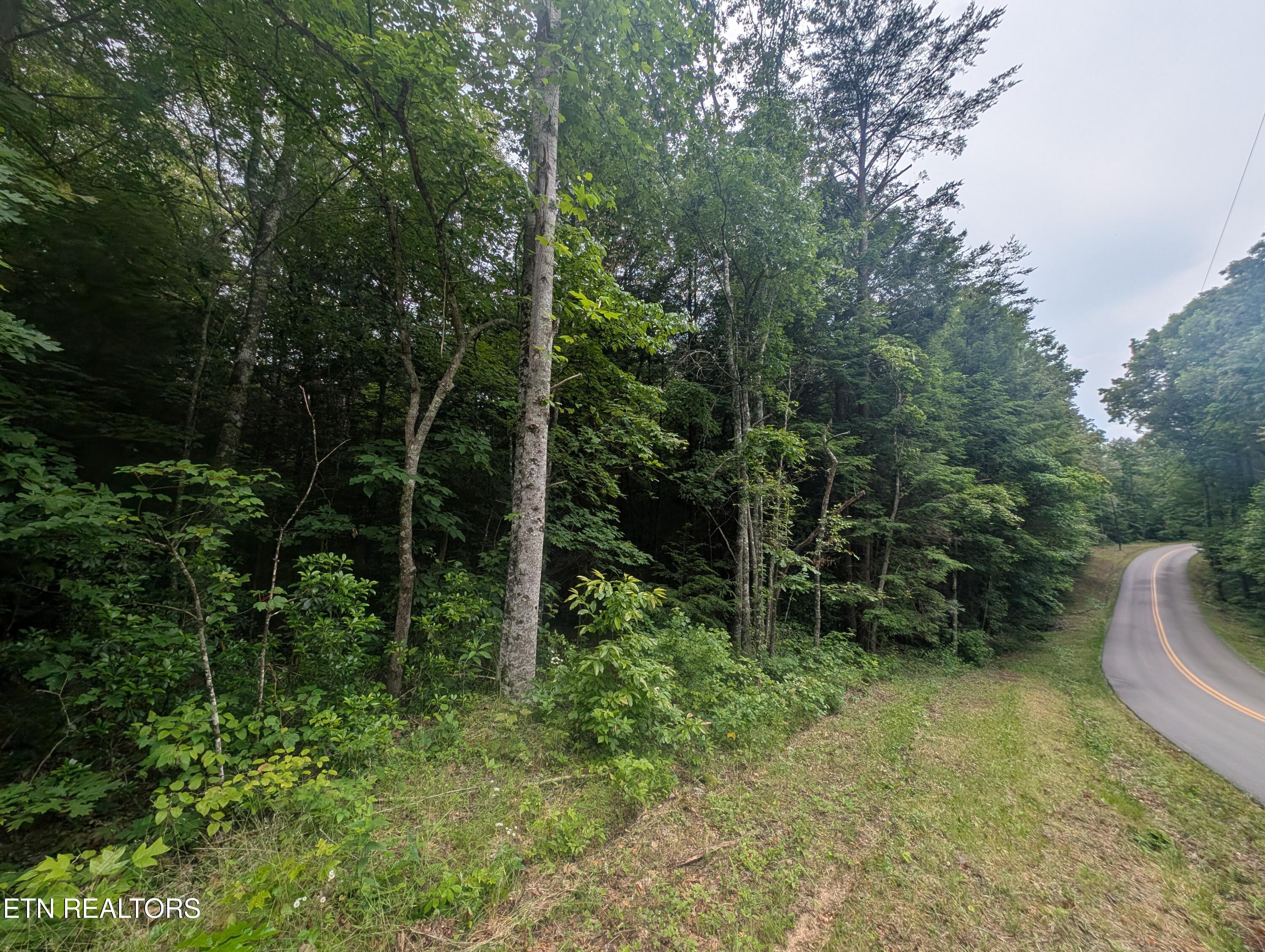 Model Farm Road Jamestown, TN 38556 - Photo 45 of 57 PXL_20250612_182733508