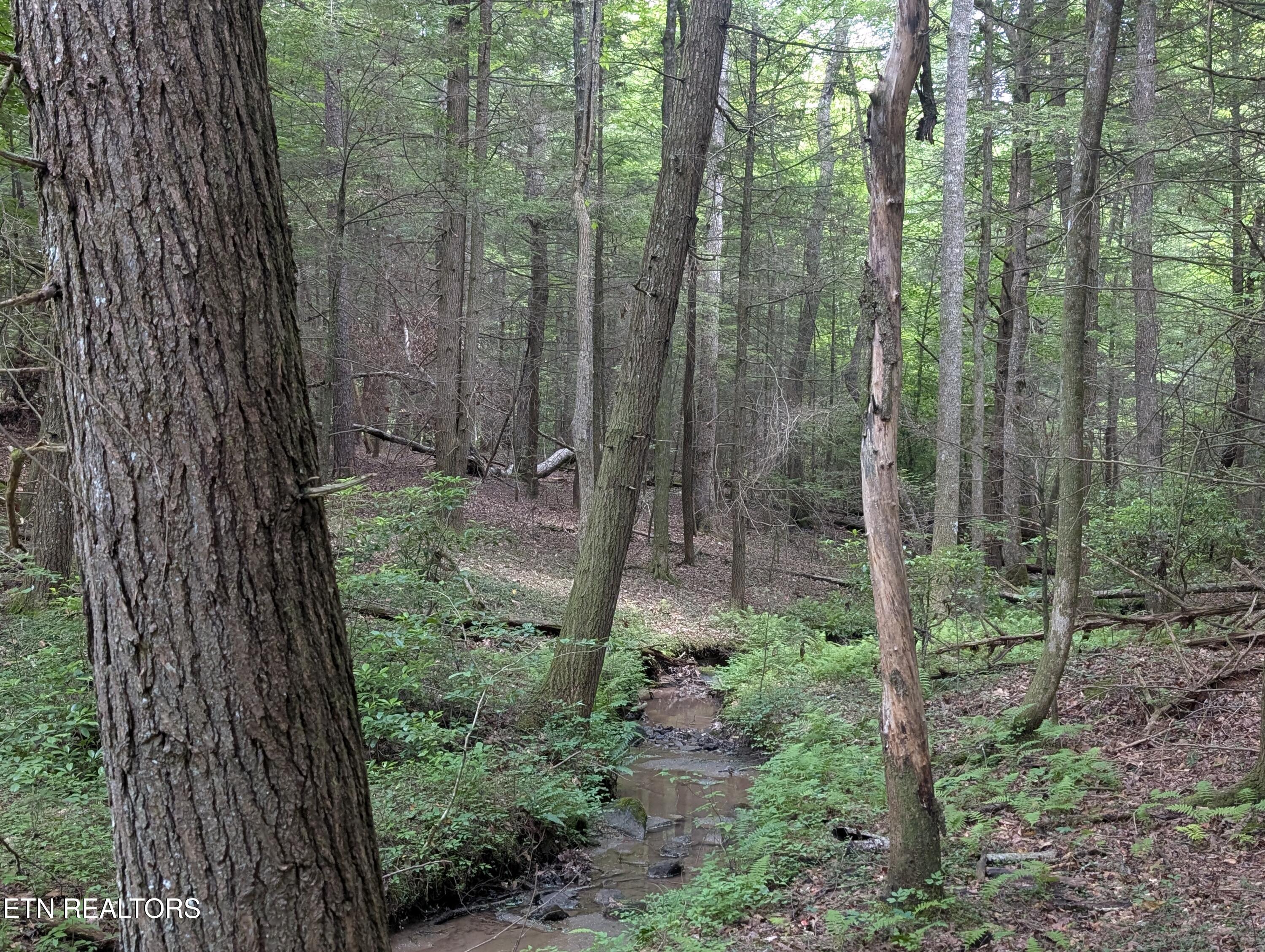 Model Farm Road Jamestown, TN 38556 - Photo 47 of 57 PXL_20250612_182854711