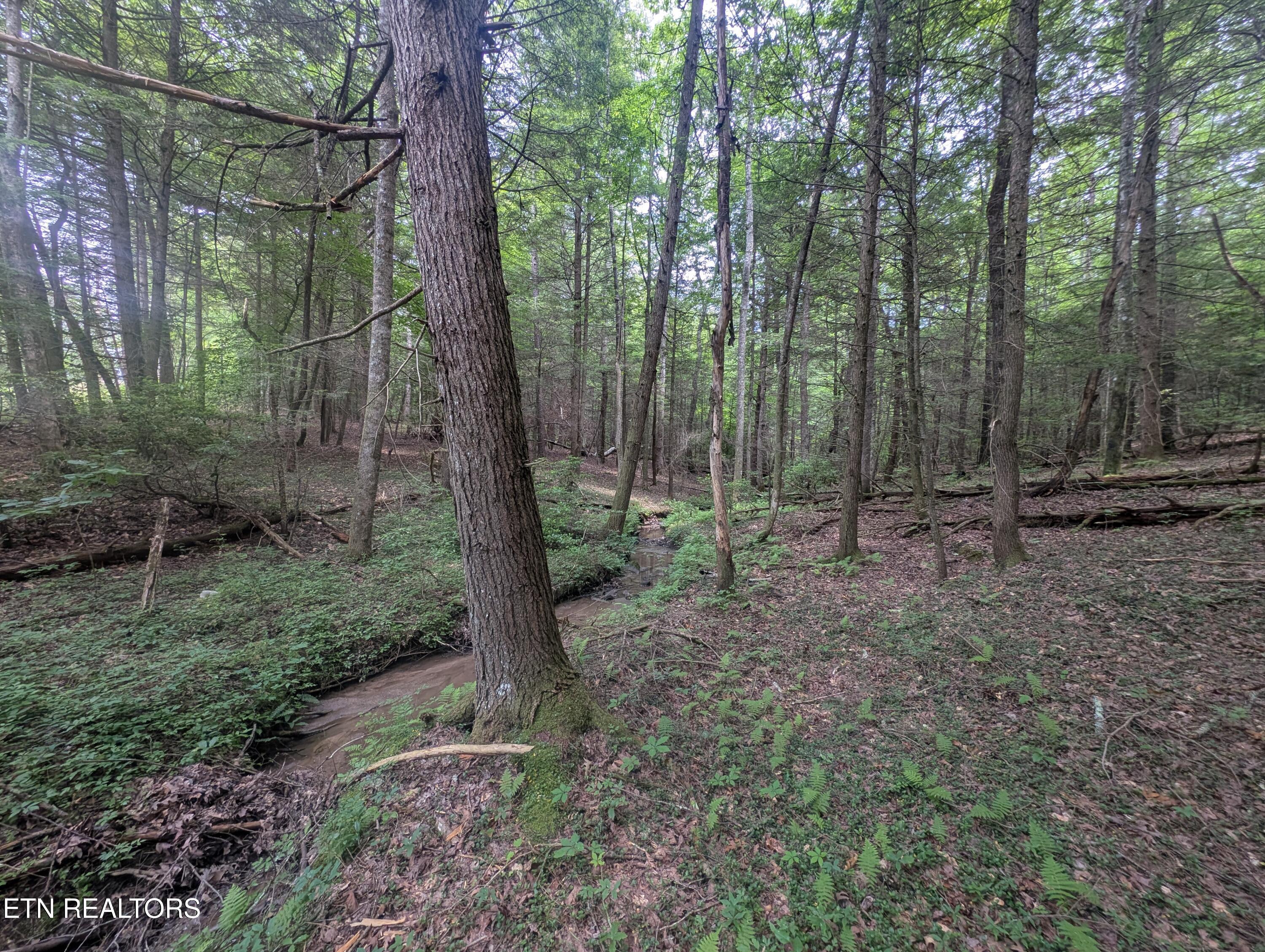 Model Farm Road Jamestown, TN 38556 - Photo 49 of 57 PXL_20250612_182858415