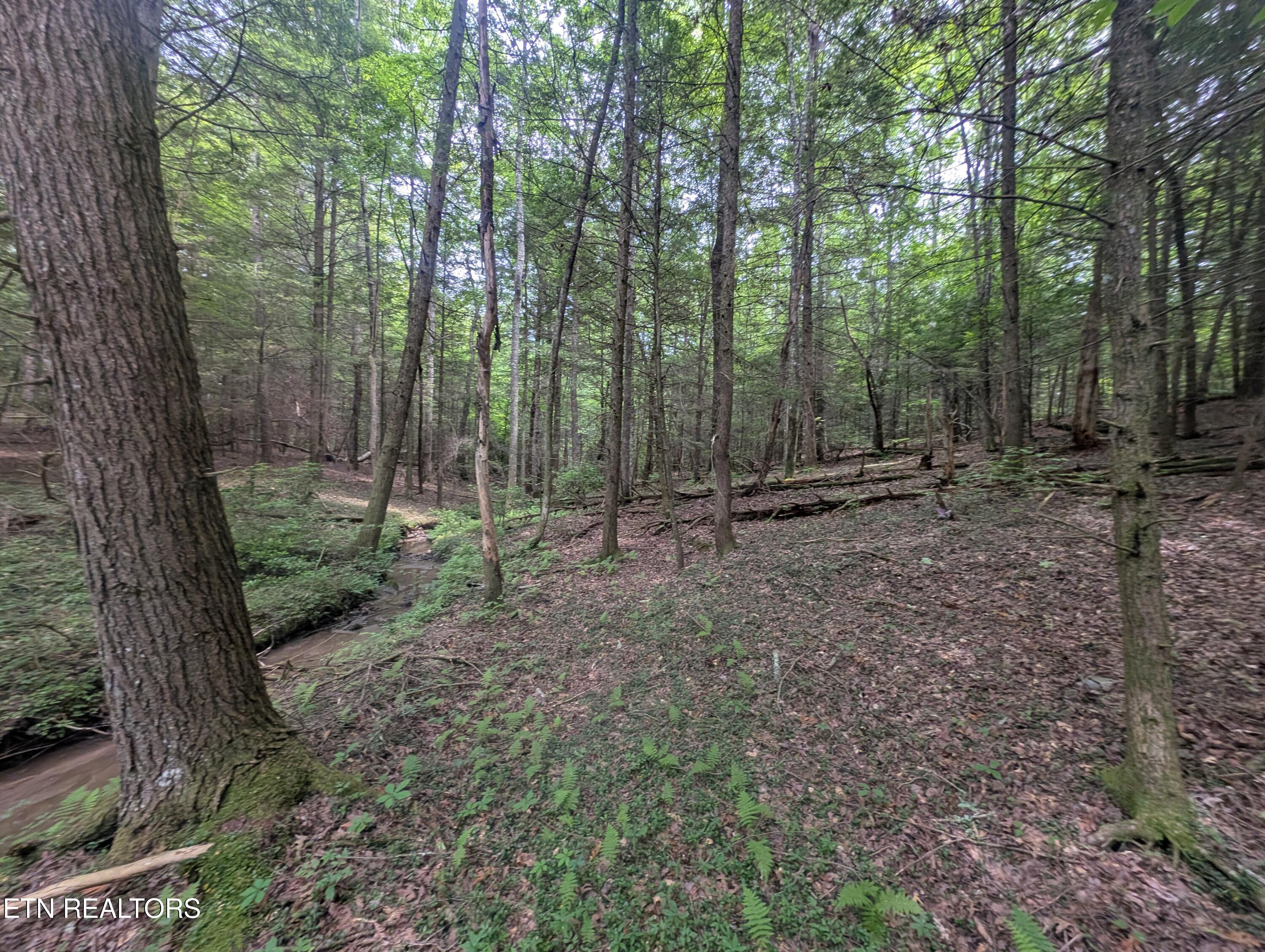 Model Farm Road Jamestown, TN 38556 - Photo 50 of 57 PXL_20250612_182859404