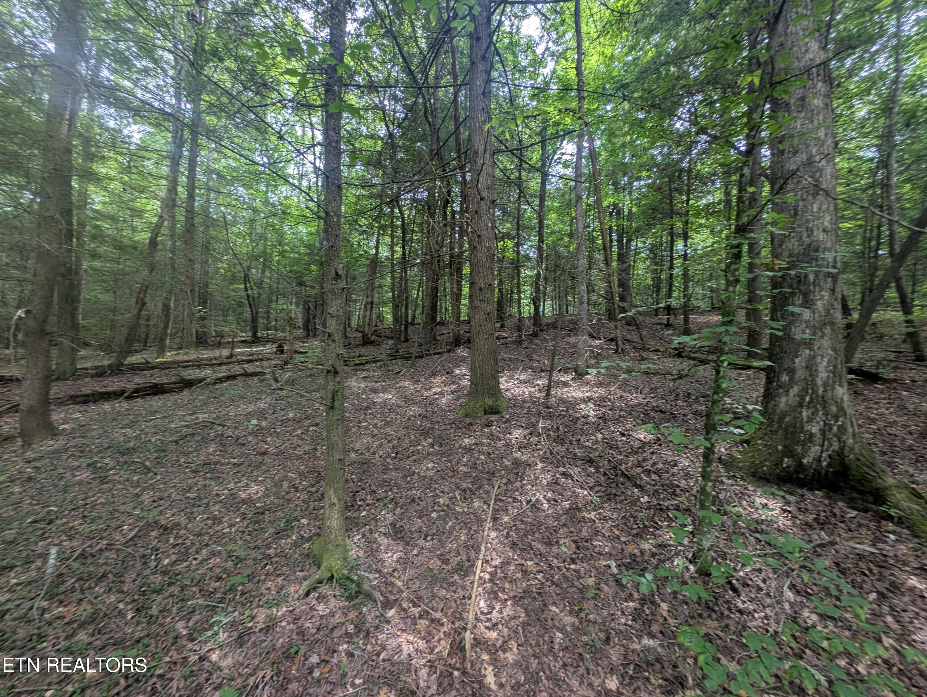 Model Farm Road Jamestown, TN 38556 - Photo 52 of 57 PXL_20250612_182901558