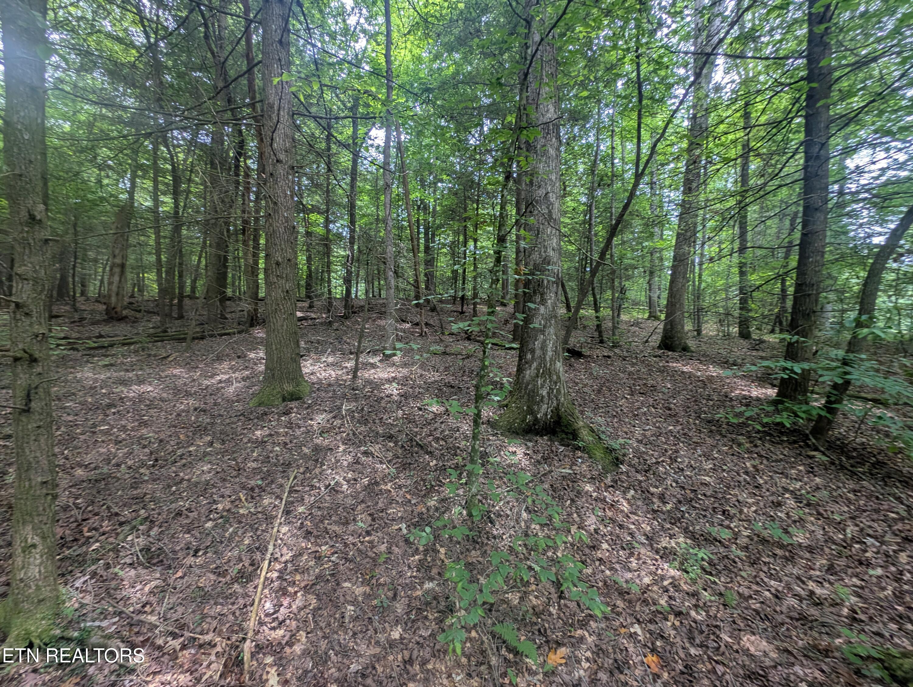 Model Farm Road Jamestown, TN 38556 - Photo 53 of 57 PXL_20250612_182902472