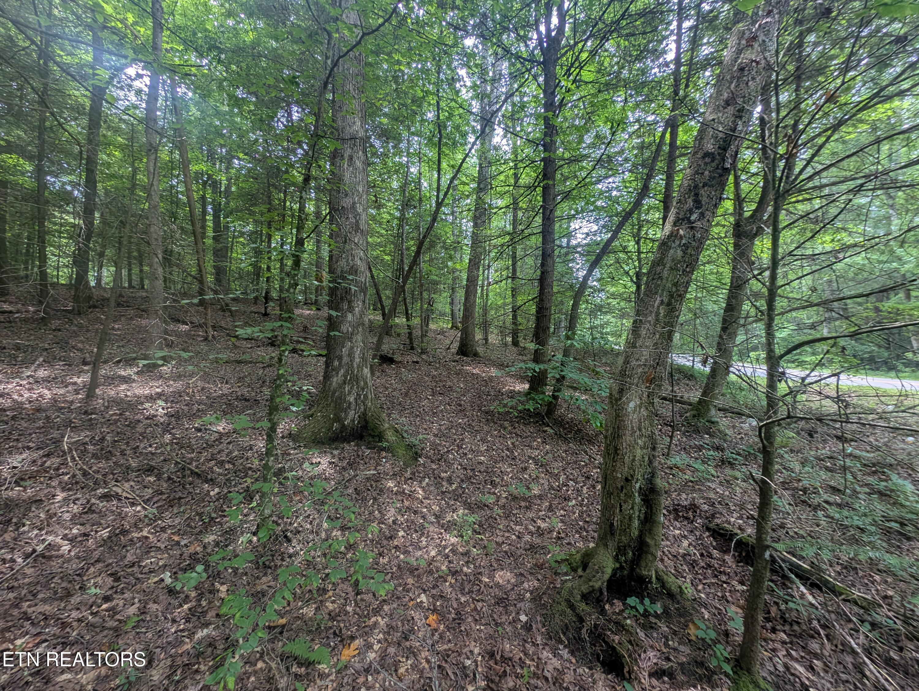 Model Farm Road Jamestown, TN 38556 - Photo 54 of 57 PXL_20250612_182903860