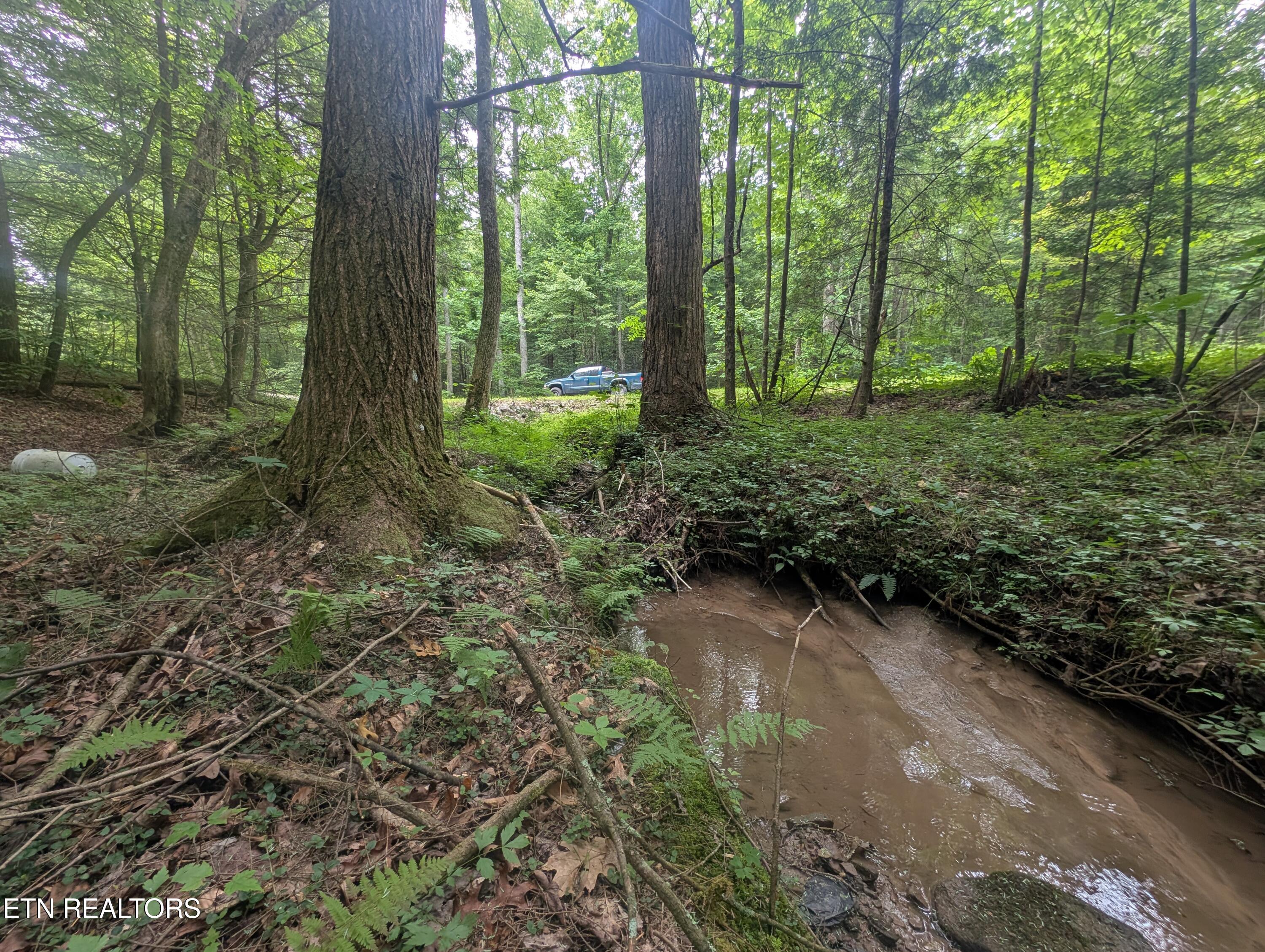 Model Farm Road Jamestown, TN 38556 - Photo 55 of 57 PXL_20250612_182920938