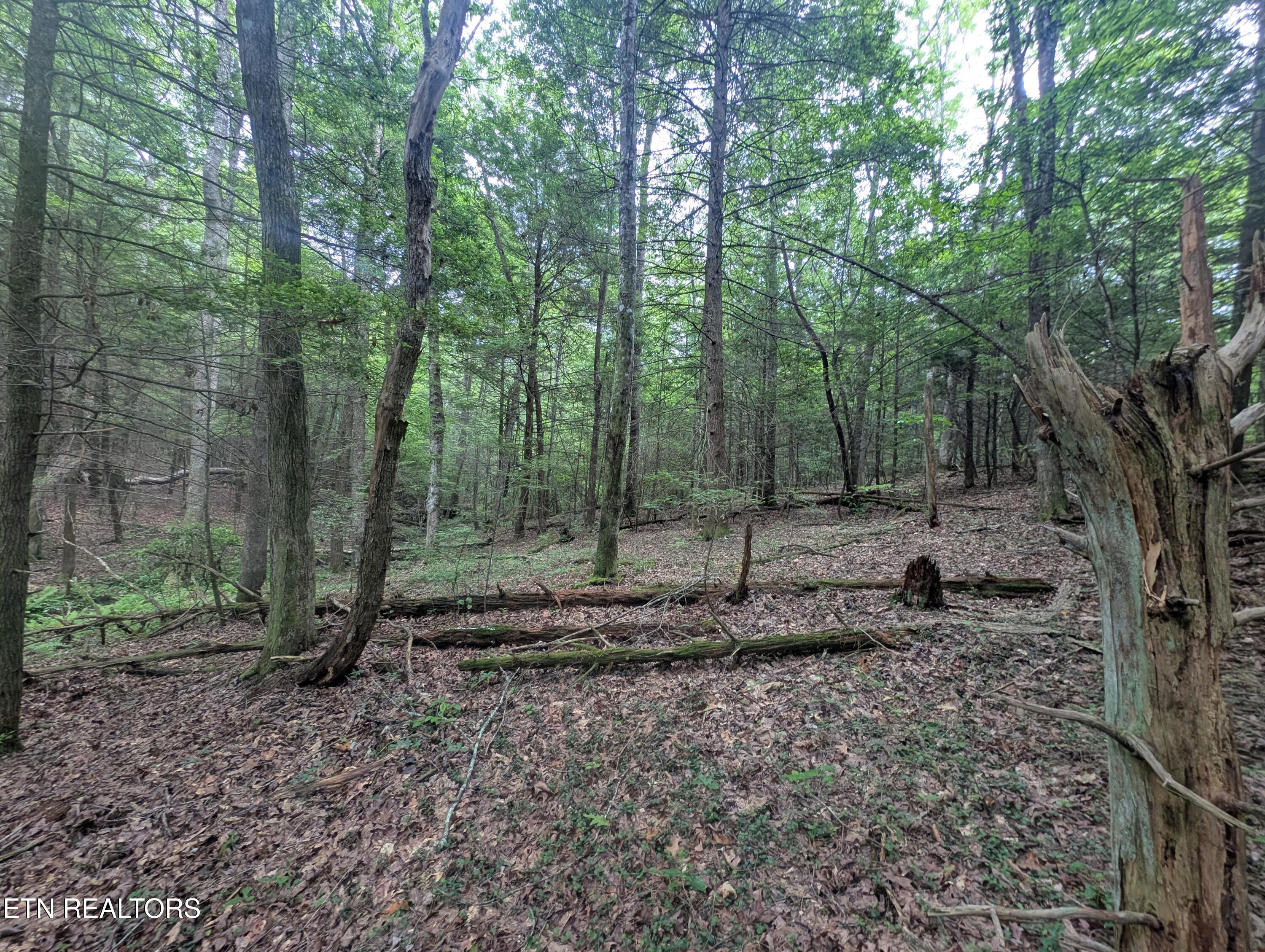 Model Farm Road Jamestown, TN 38556 - Photo 56 of 57 PXL_20250612_182945718