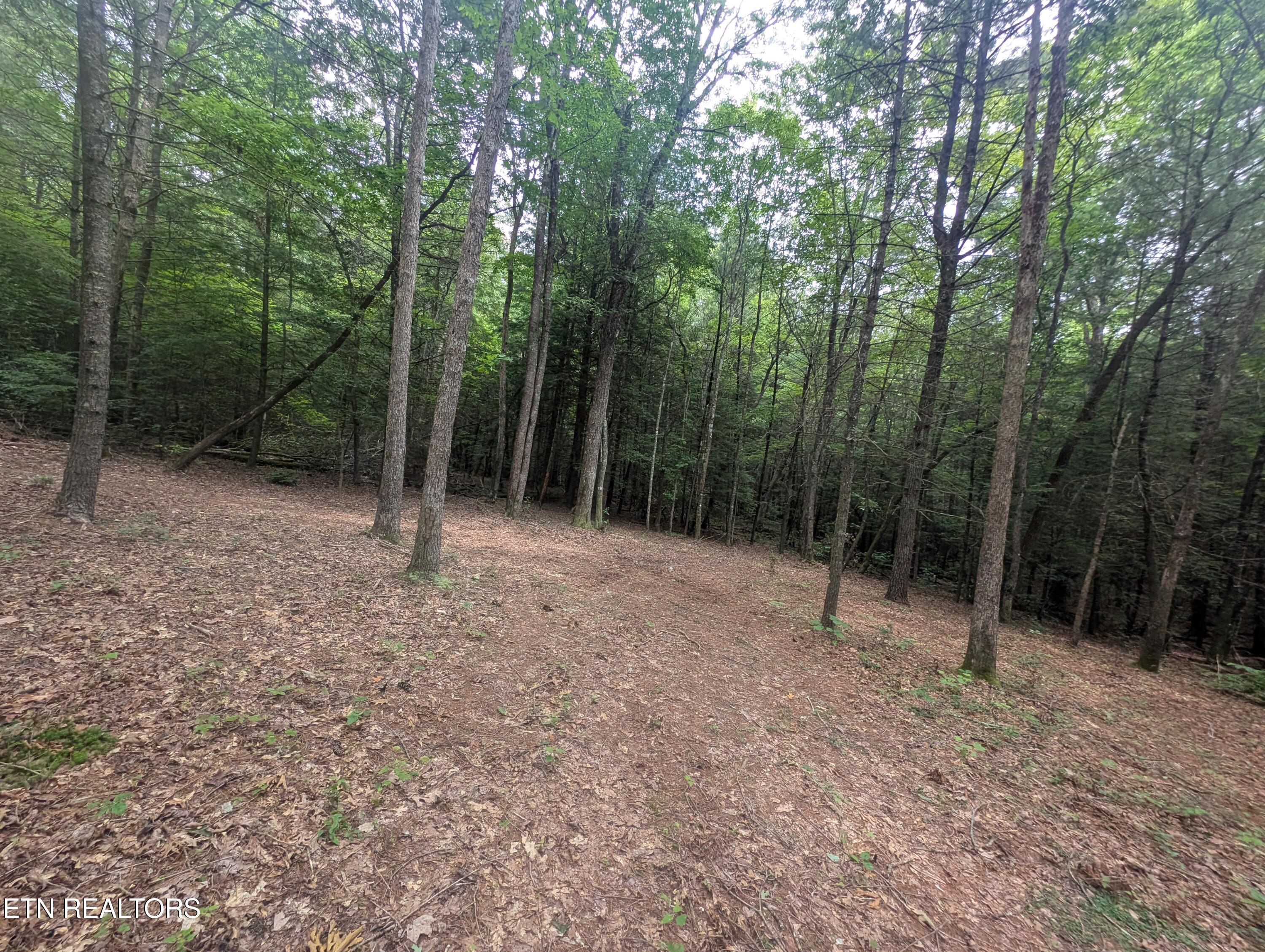 Model Farm Road Jamestown, TN 38556 - Photo 7 of 57 PXL_20250612_183707843