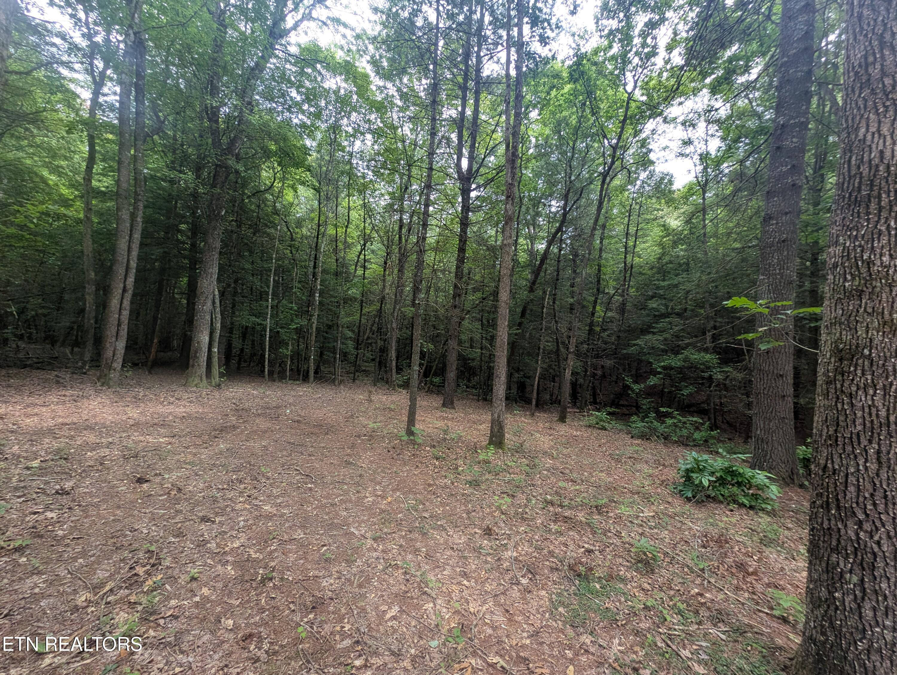 Model Farm Road Jamestown, TN 38556 - Photo 8 of 57 PXL_20250612_183708738