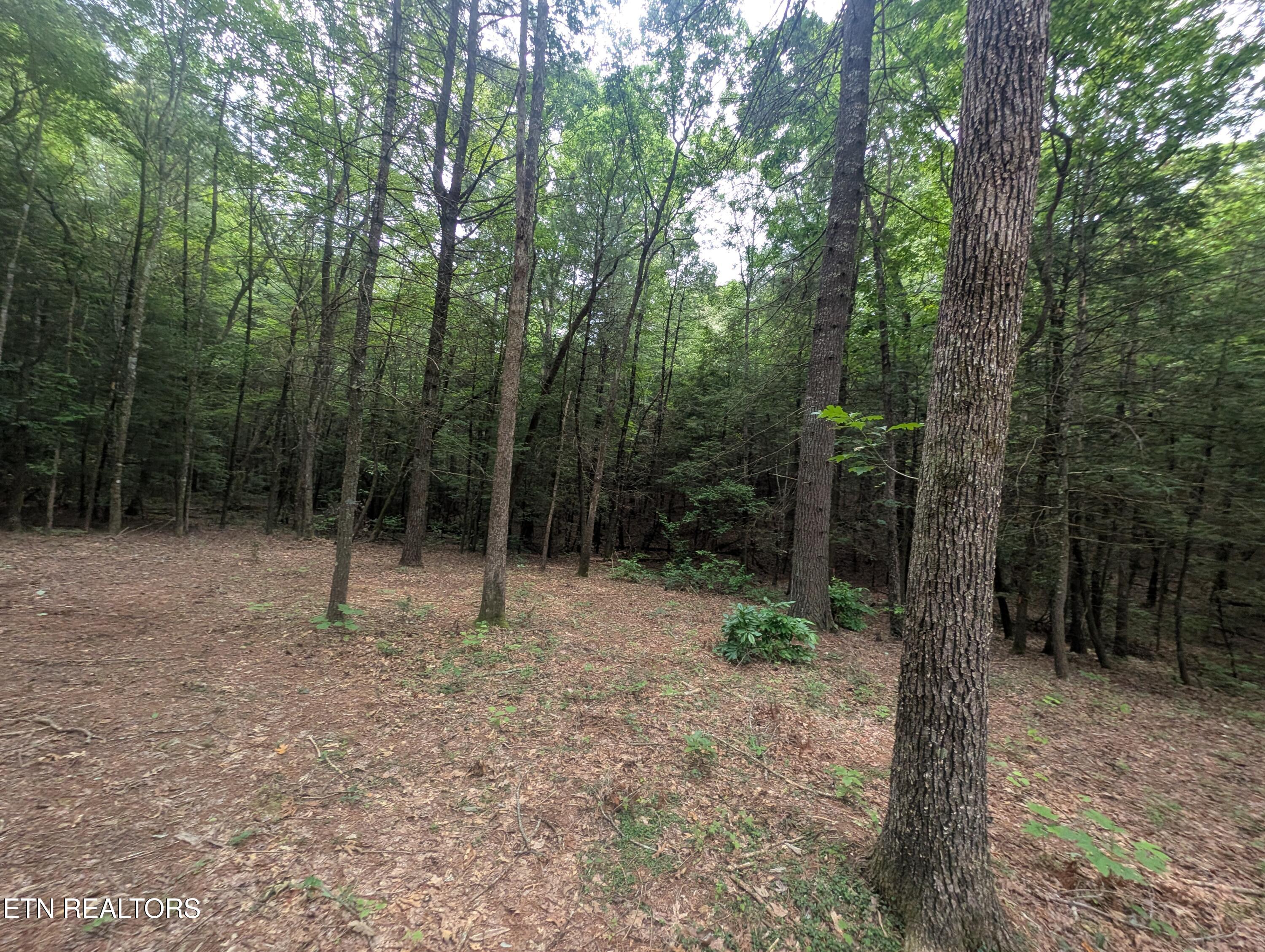 Model Farm Road Jamestown, TN 38556 - Photo 9 of 57 PXL_20250612_183709569