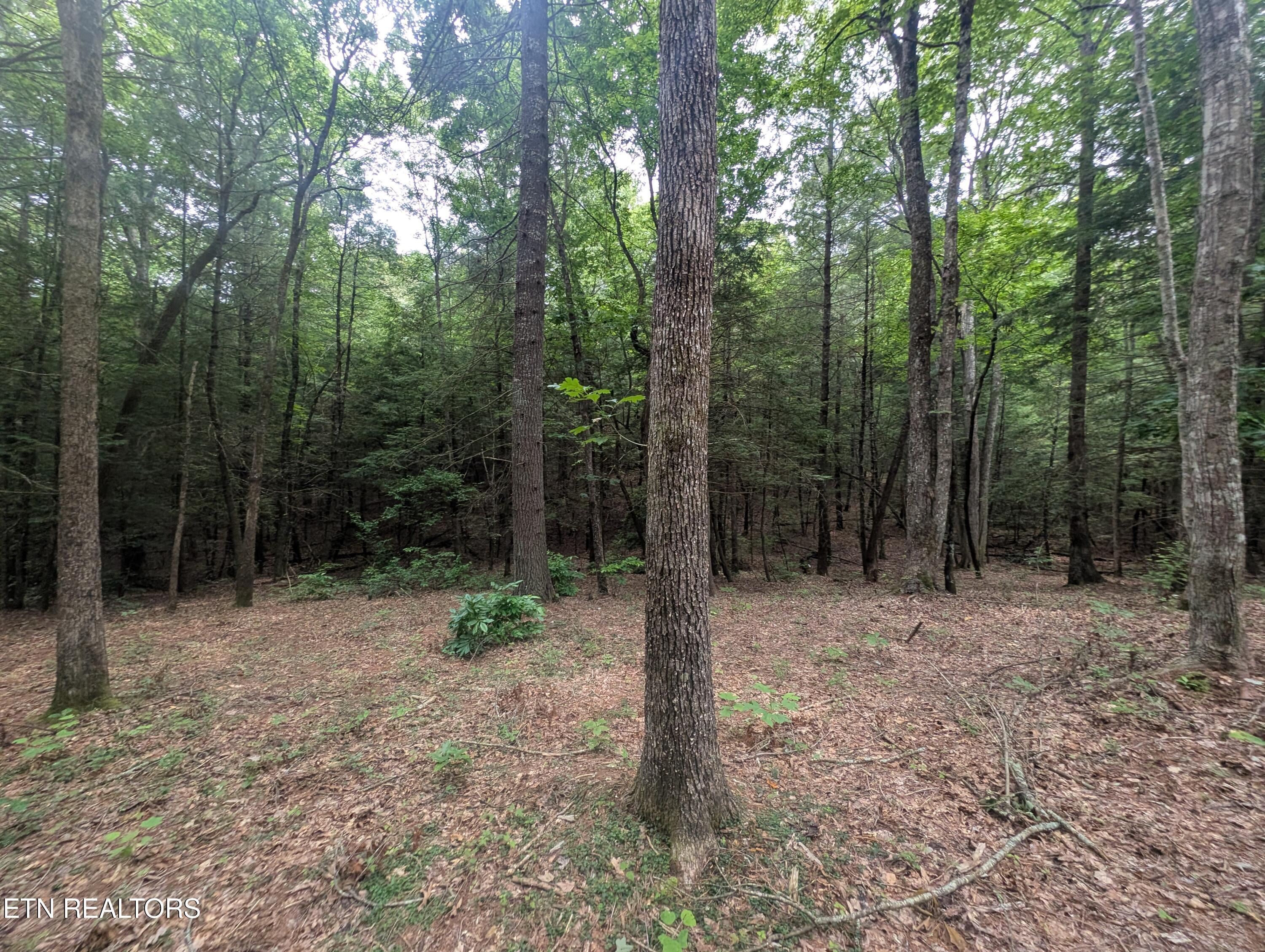 Model Farm Road Jamestown, TN 38556 - Photo 10 of 57 PXL_20250612_183710370