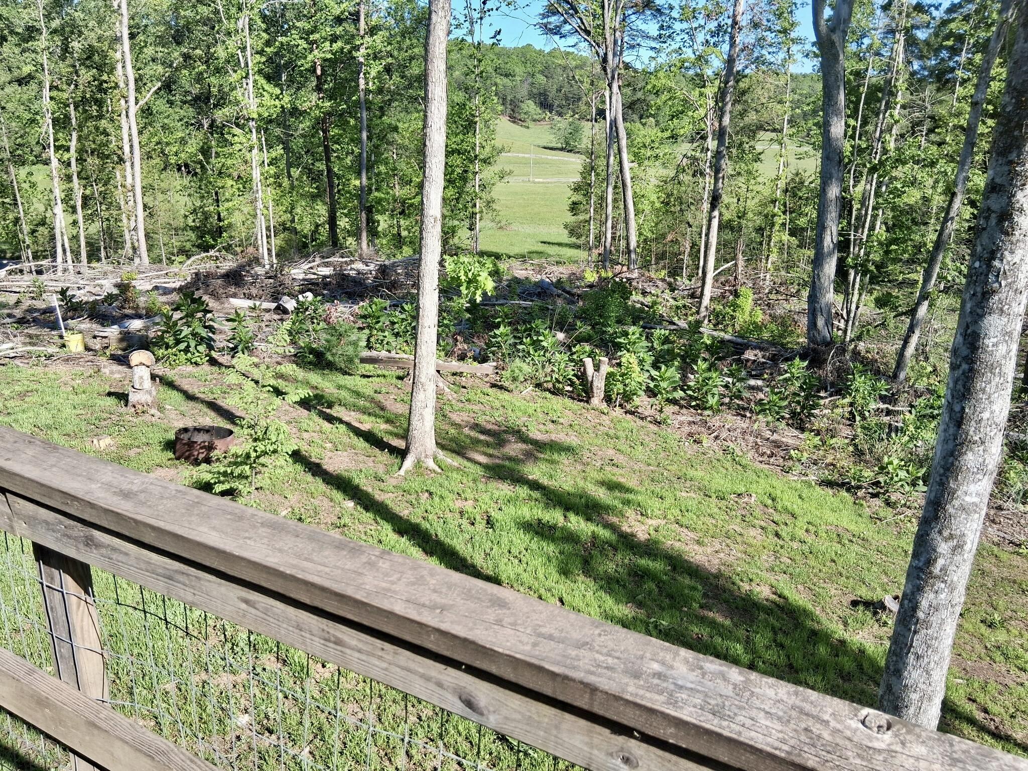 233 Fingerboard Road Tellico Plains, TN 37385 - Photo 12 of 18 8867539199622897140