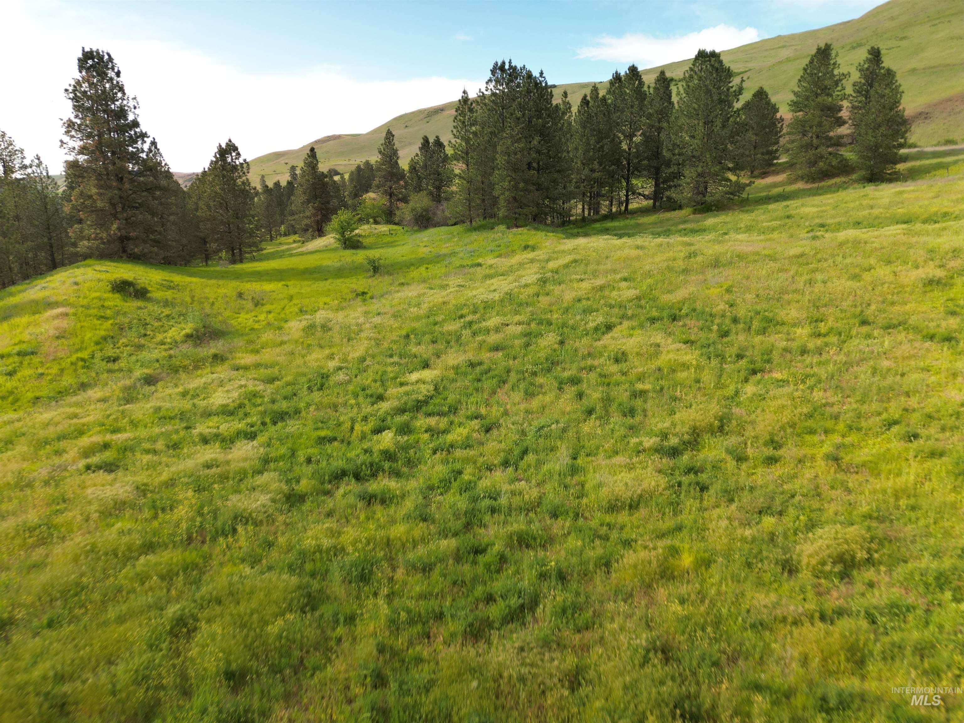 0 American Ridge Road Kendrick, ID 83537 - Photo 14 of 25