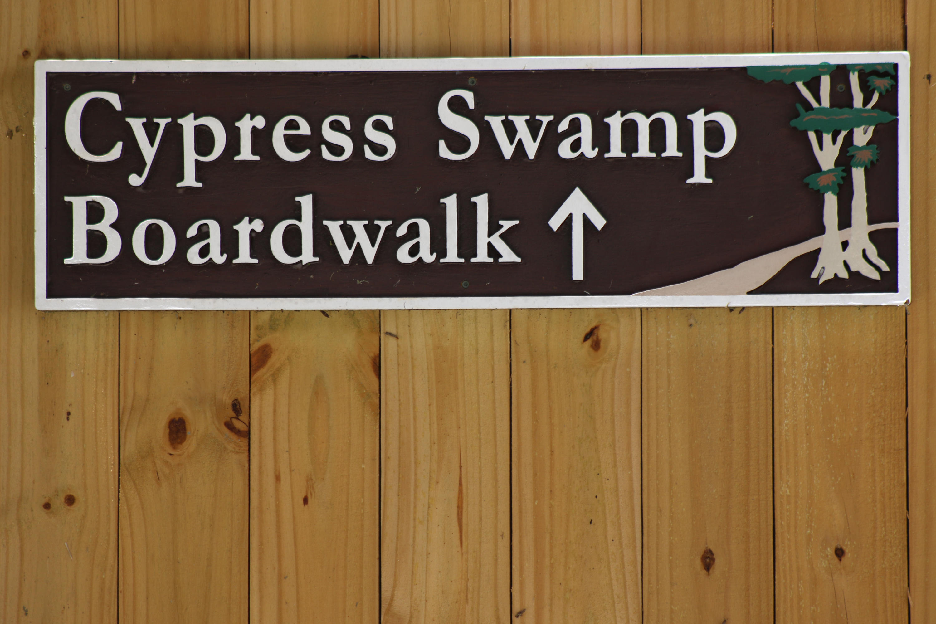8841 First Tee Road Port St. Lucie, FL 34986 - Photo 130 of 228 266 Boardwalk Sign At Loxahatchee Refuge