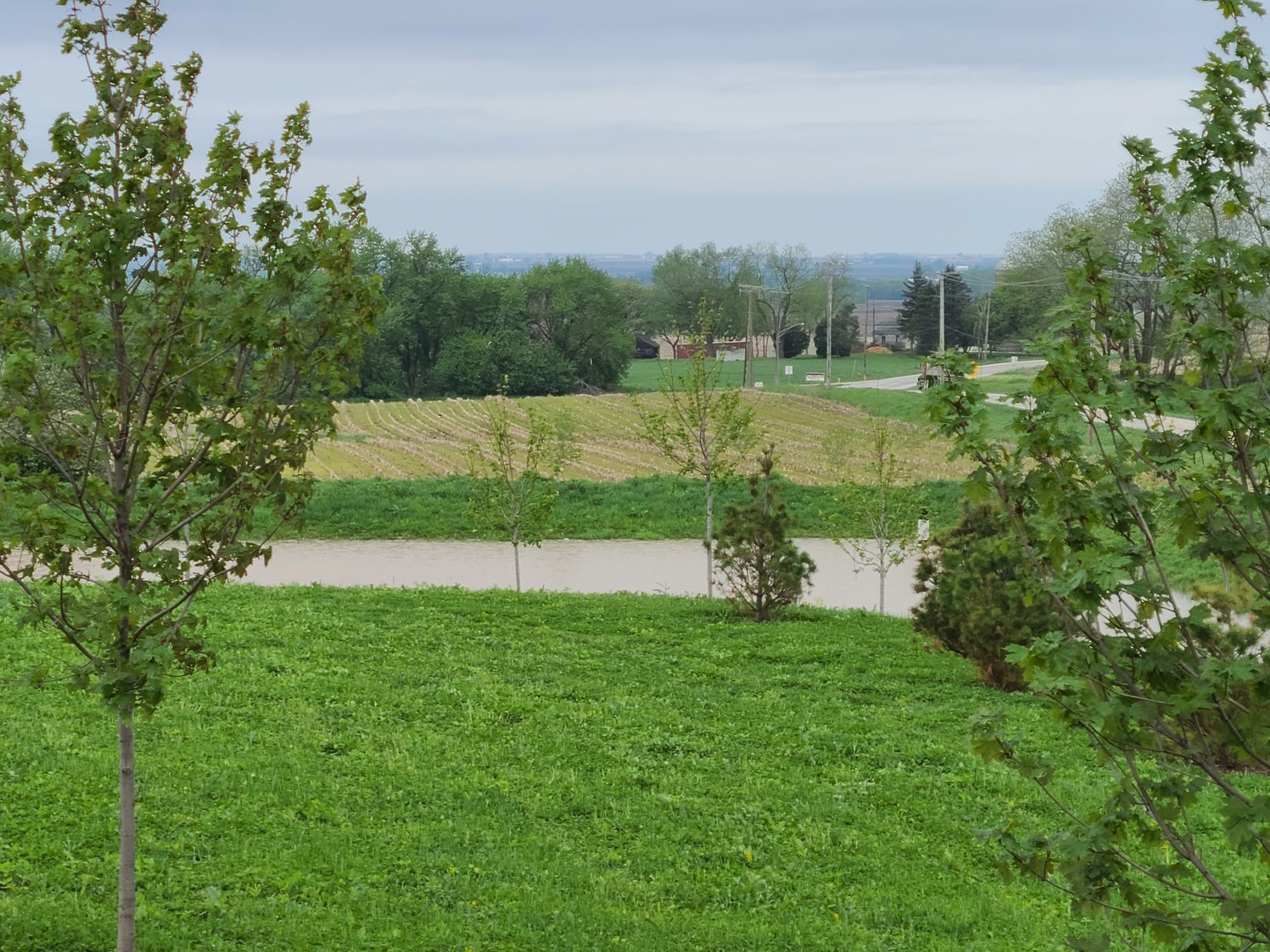 46W109 Big Timber Road Hampshire, IL 60140 - Photo 11 of 11 a view of a park with large trees