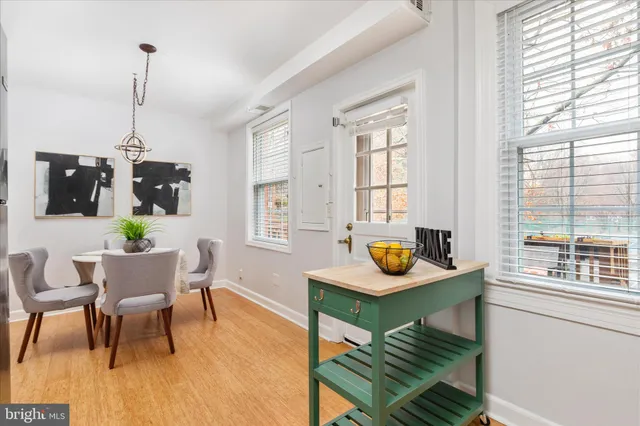 a view of a park with large trees