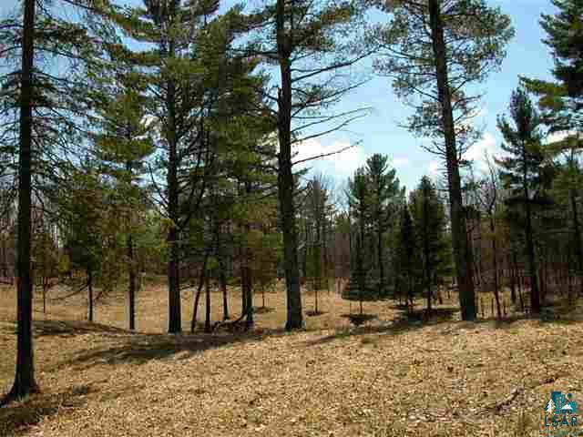 0 Mcaully Road Cable, WI 54821 - Photo 1 of 2 Gallery Image 1
