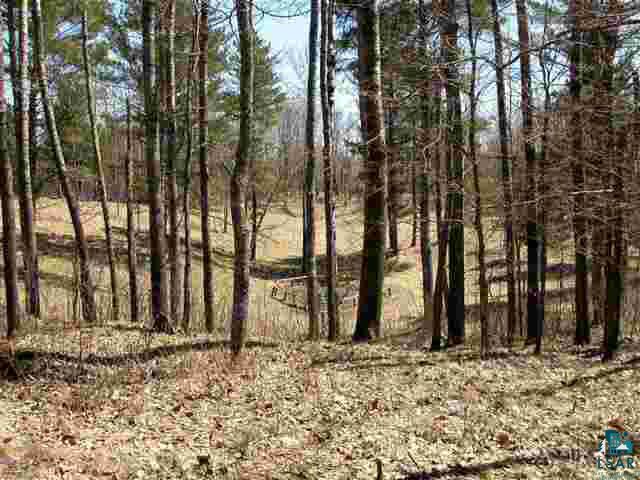 0 Mcaully Road Cable, WI 54821 - Photo 2 of 2 Gallery Image 2