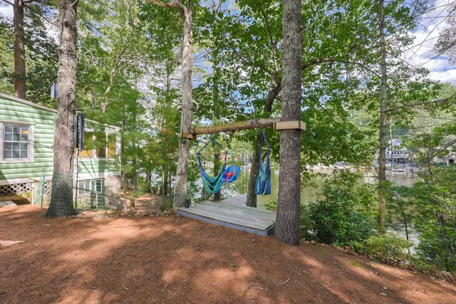 a view of road and trees