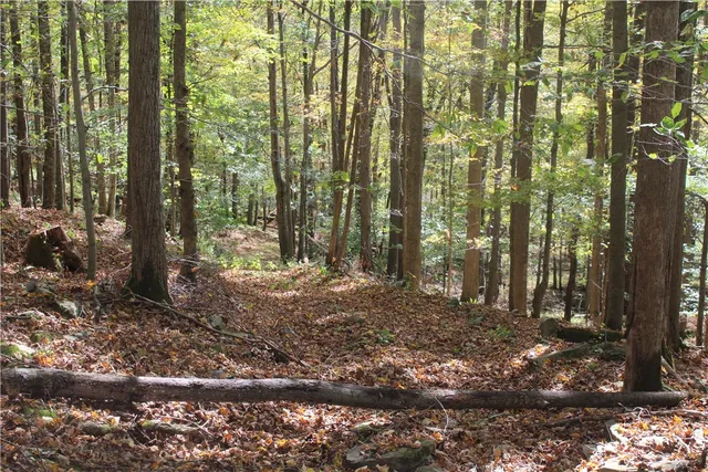 $675,000 | Rd Road, East Branch, NY 13756