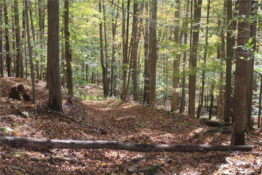 Rd Road East Branch, NY 13756 - Photo 11 of 21 Trail