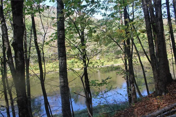 $675,000 | Rd Road, East Branch, NY 13756